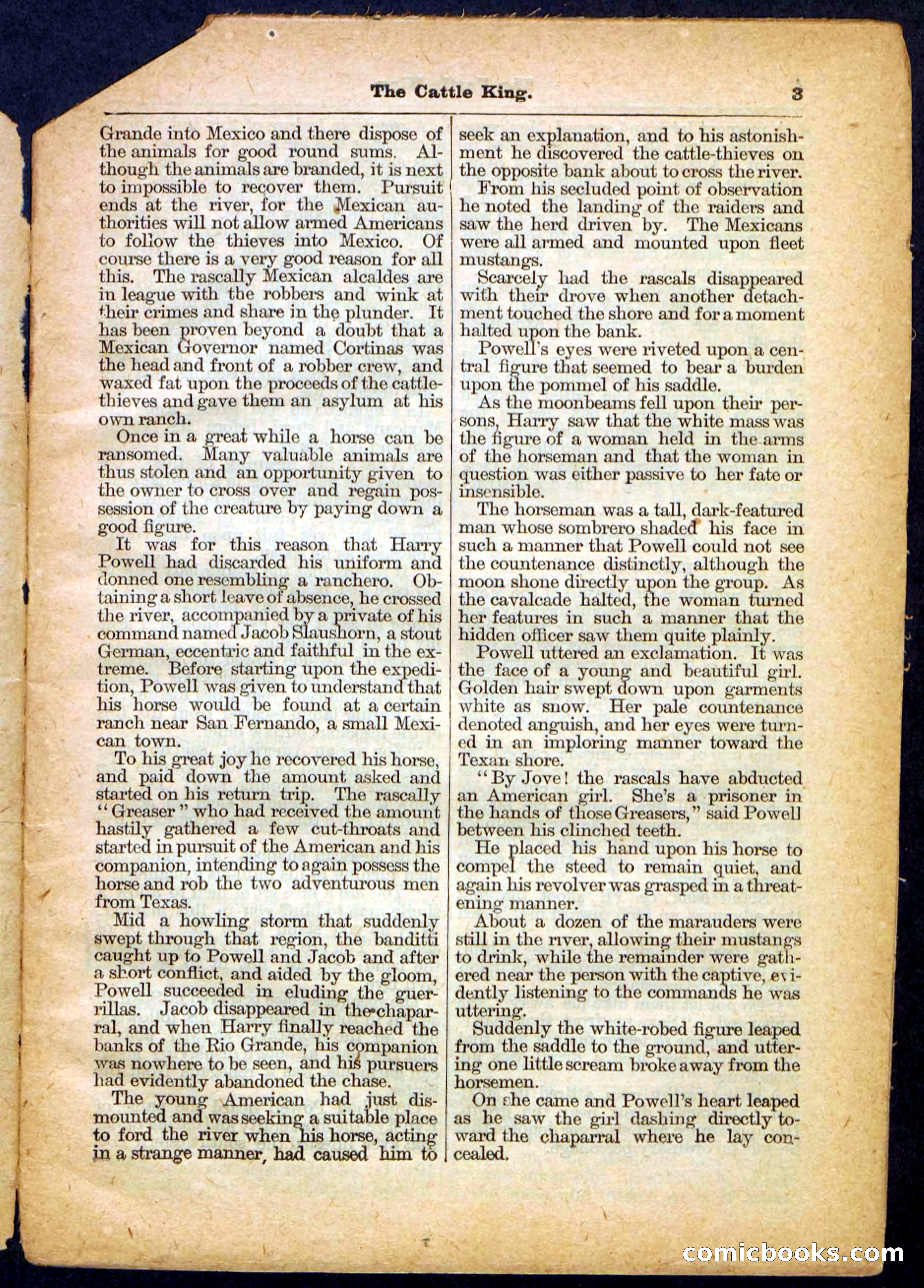 The Cattle King — page 3 of 32