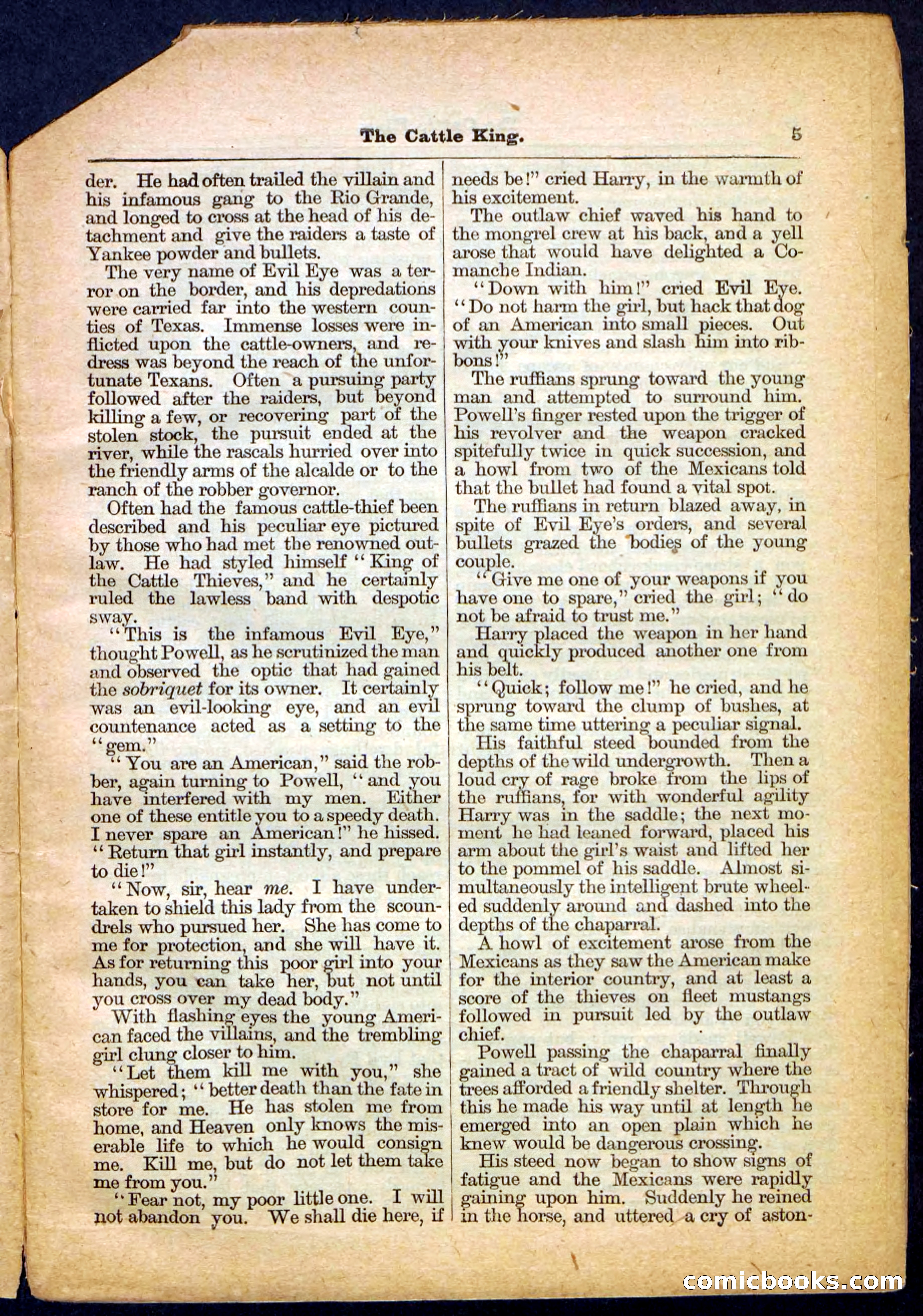 The Cattle King — page 5 of 32