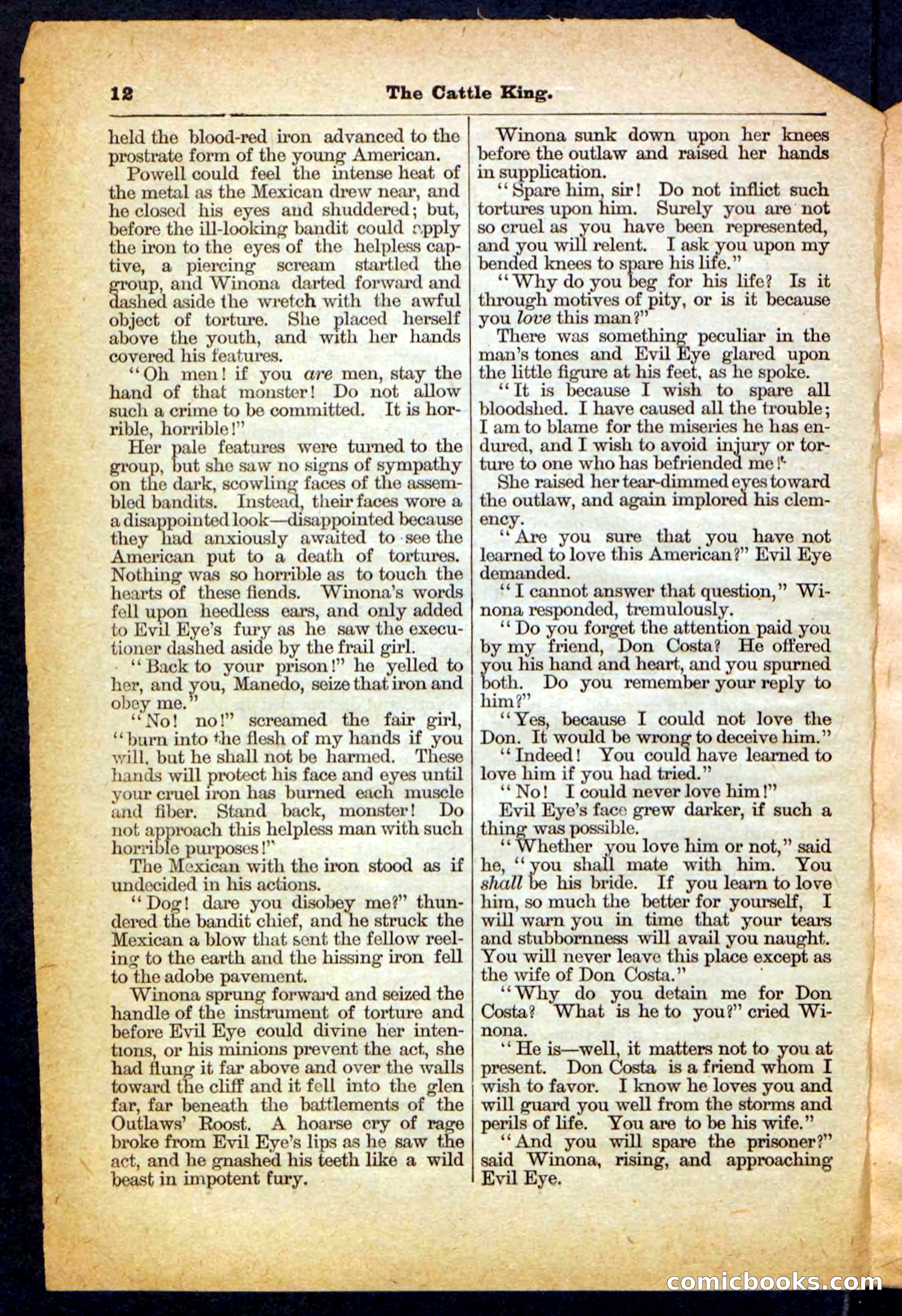 The Cattle King — page 12 of 32