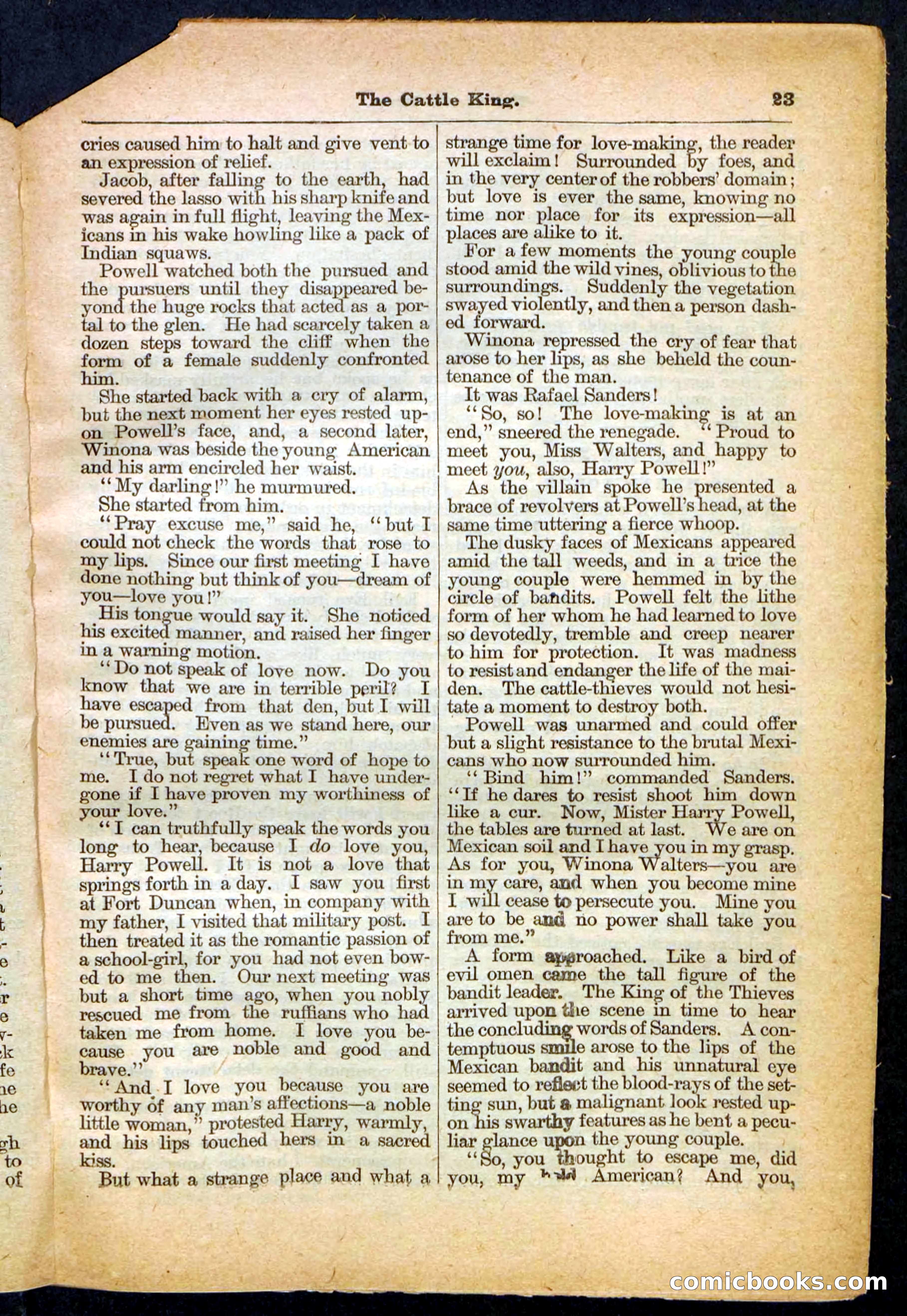The Cattle King — page 23 of 32