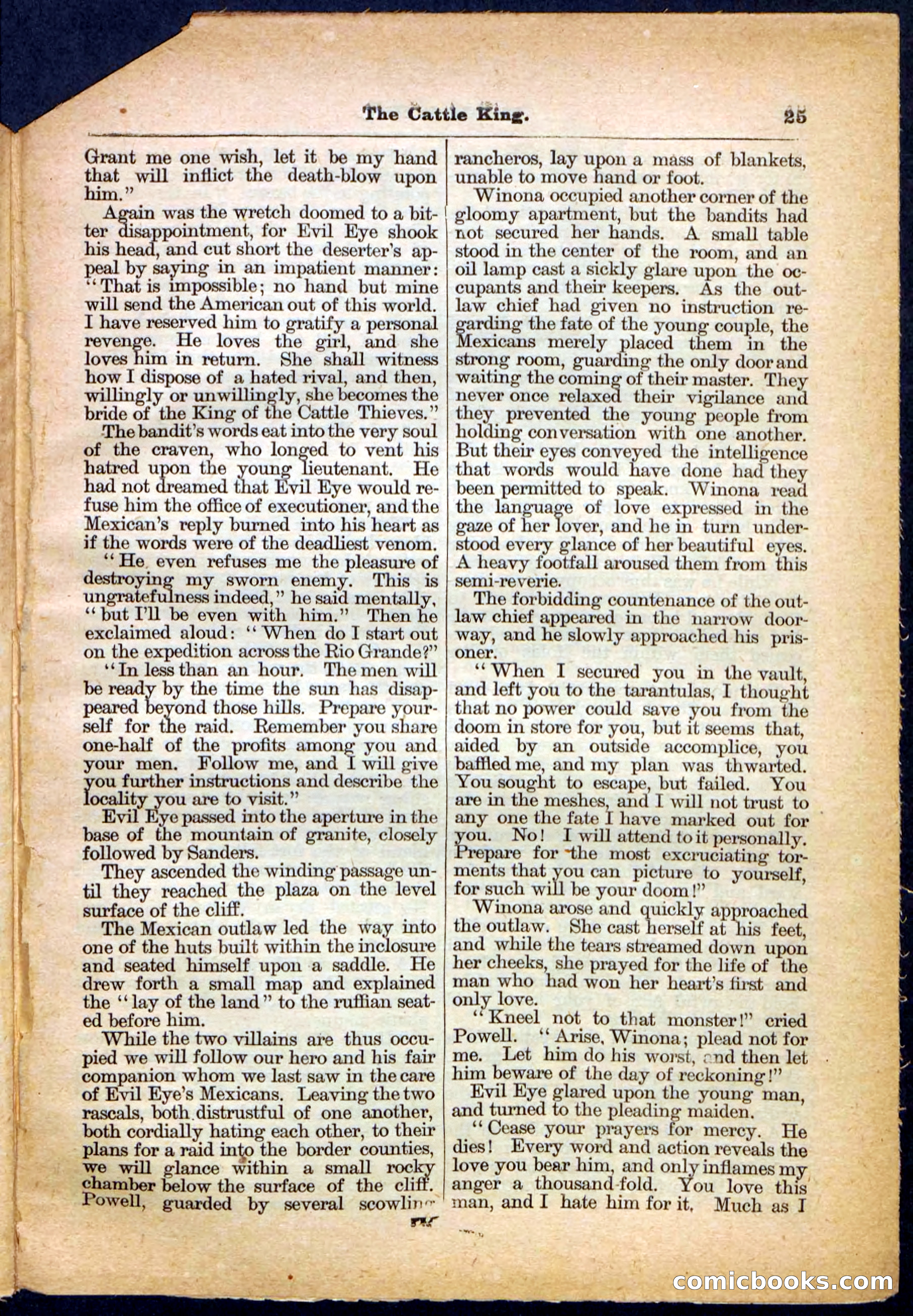 The Cattle King — page 25 of 32
