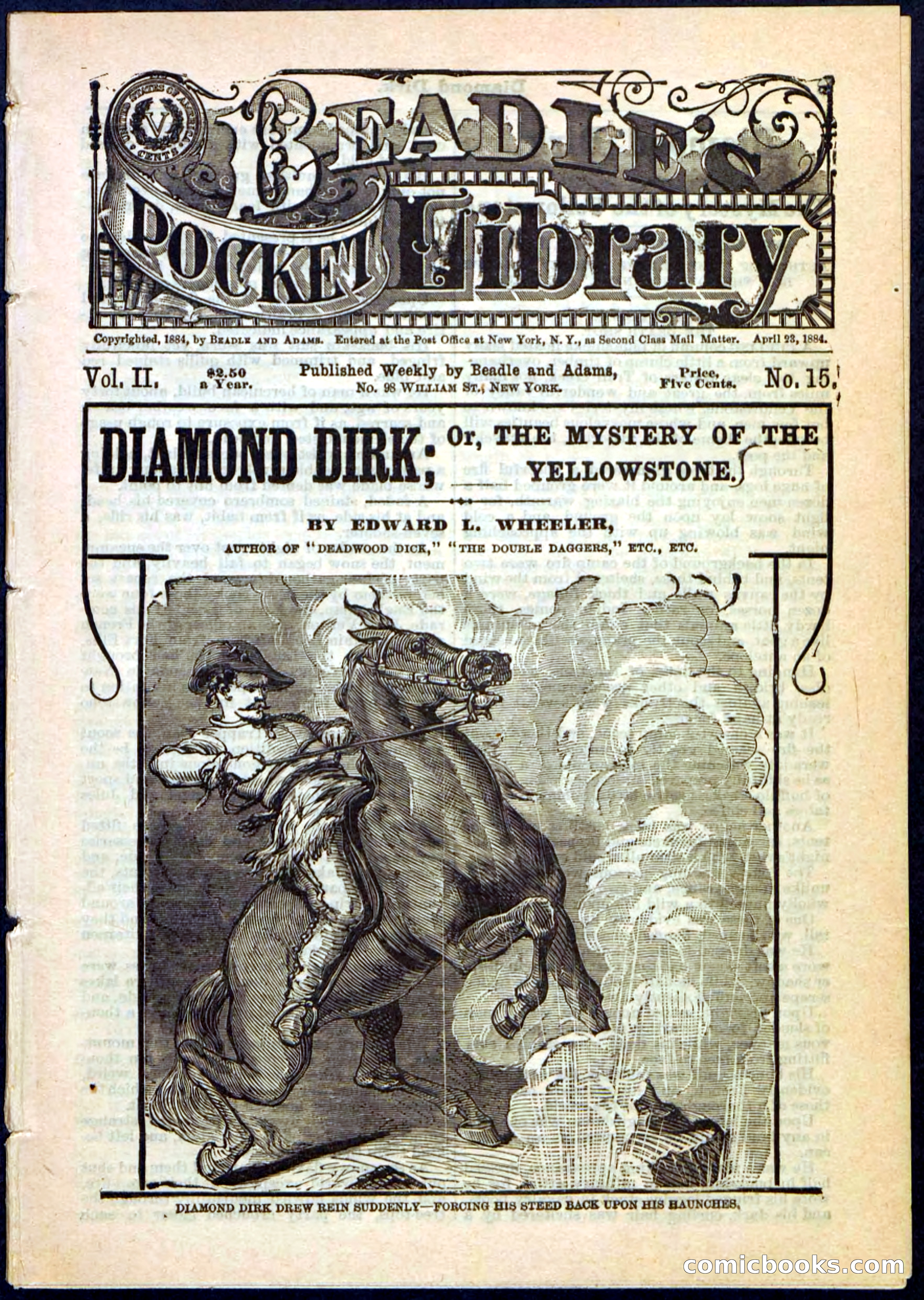 Beadle's Pocket Library No. 15