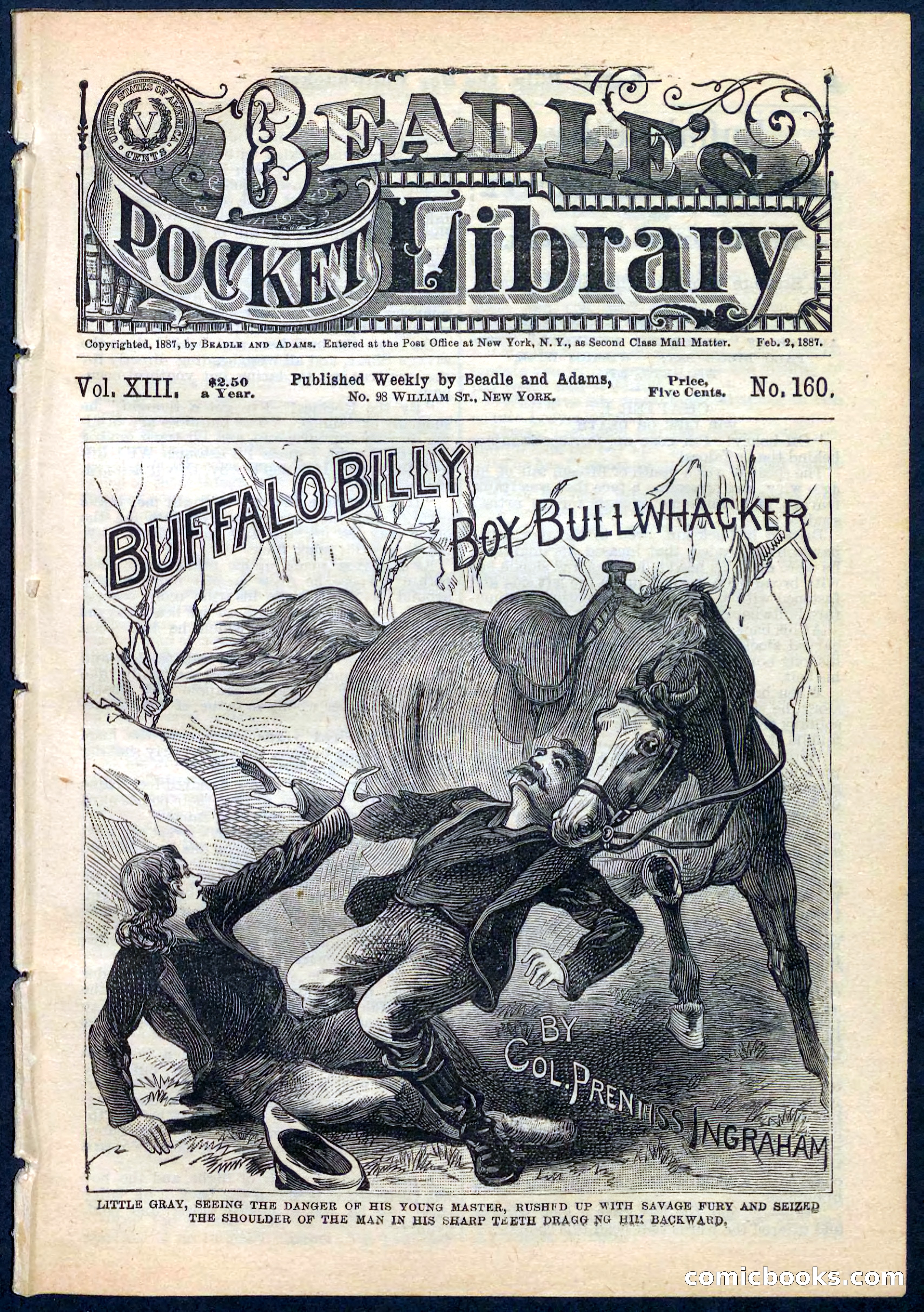 Beadle's Pocket Library No. 160
