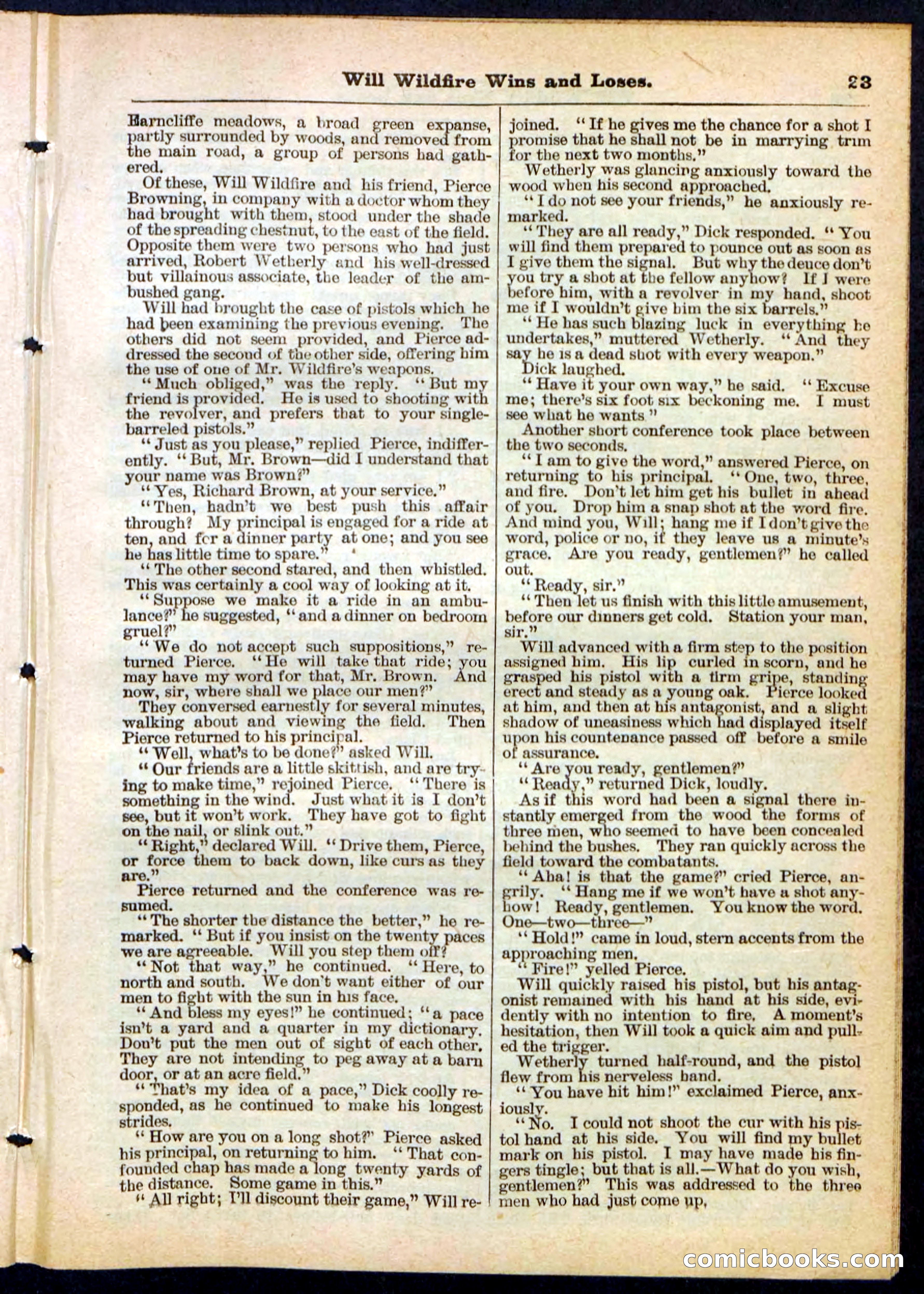 Will Wildfire Wins and Loses — page 23 of 32
