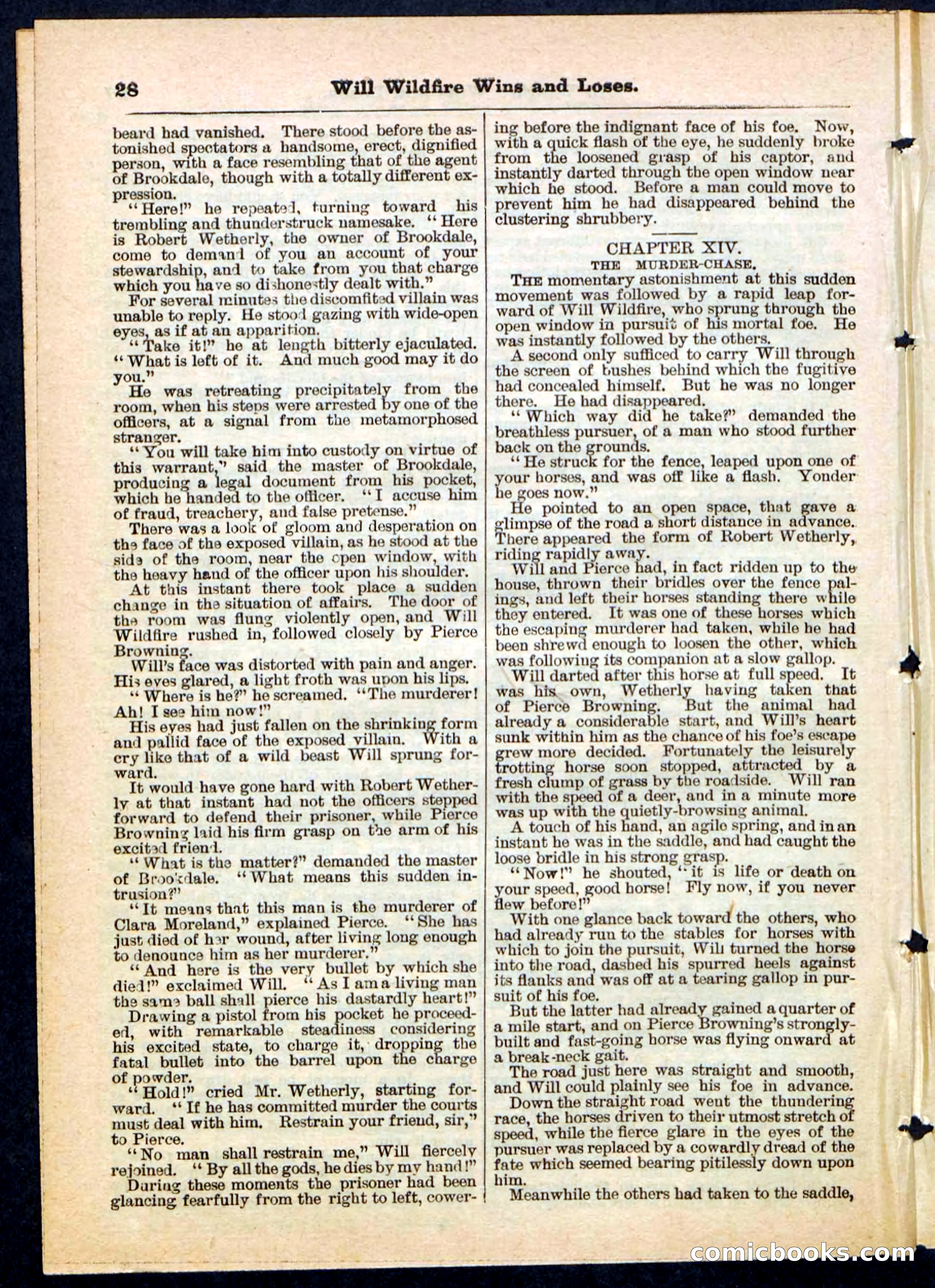 Will Wildfire Wins and Loses — page 28 of 32