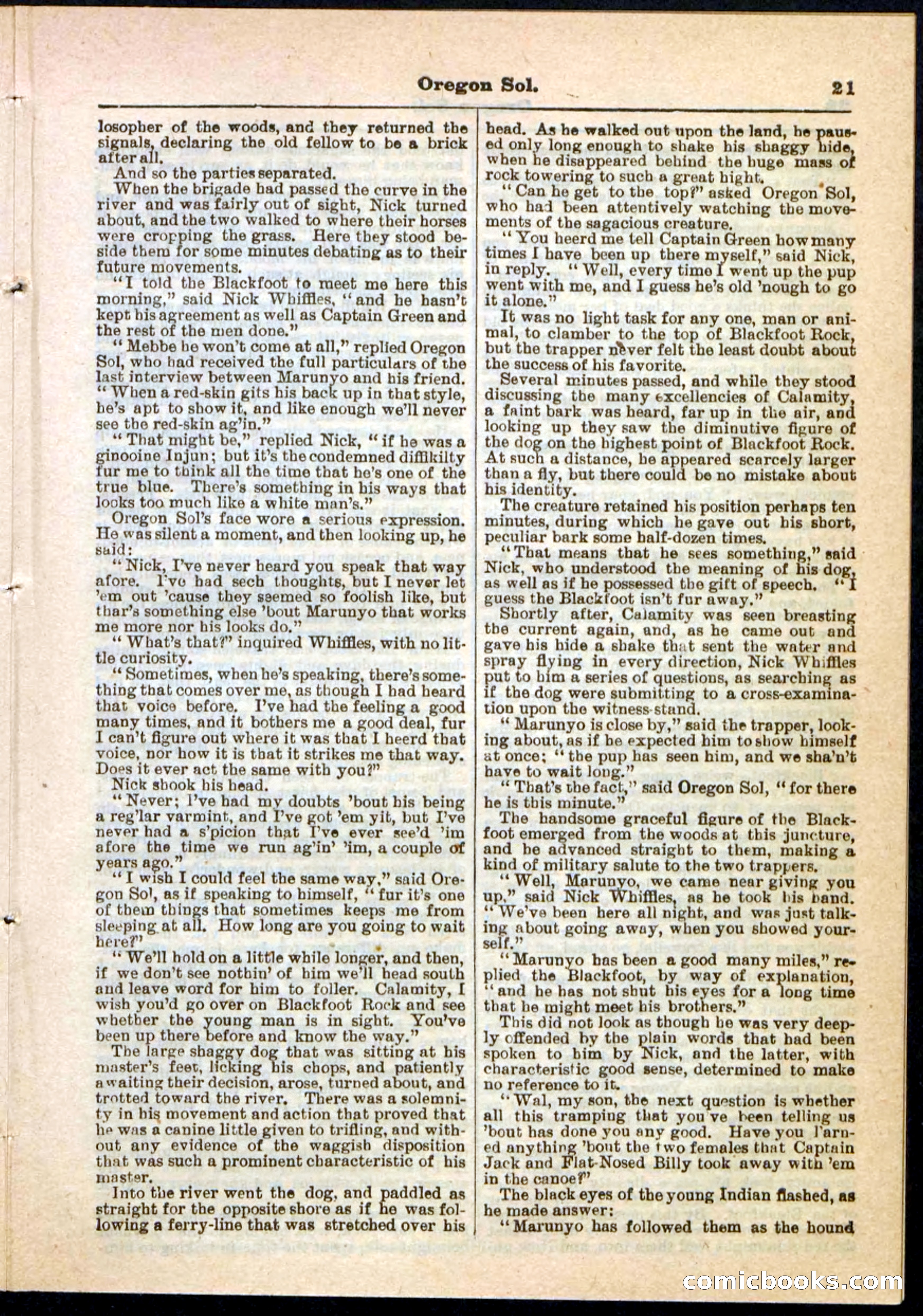Oregon Sol; or, Nick Whiffles's Boy Spy — page 21 of 32