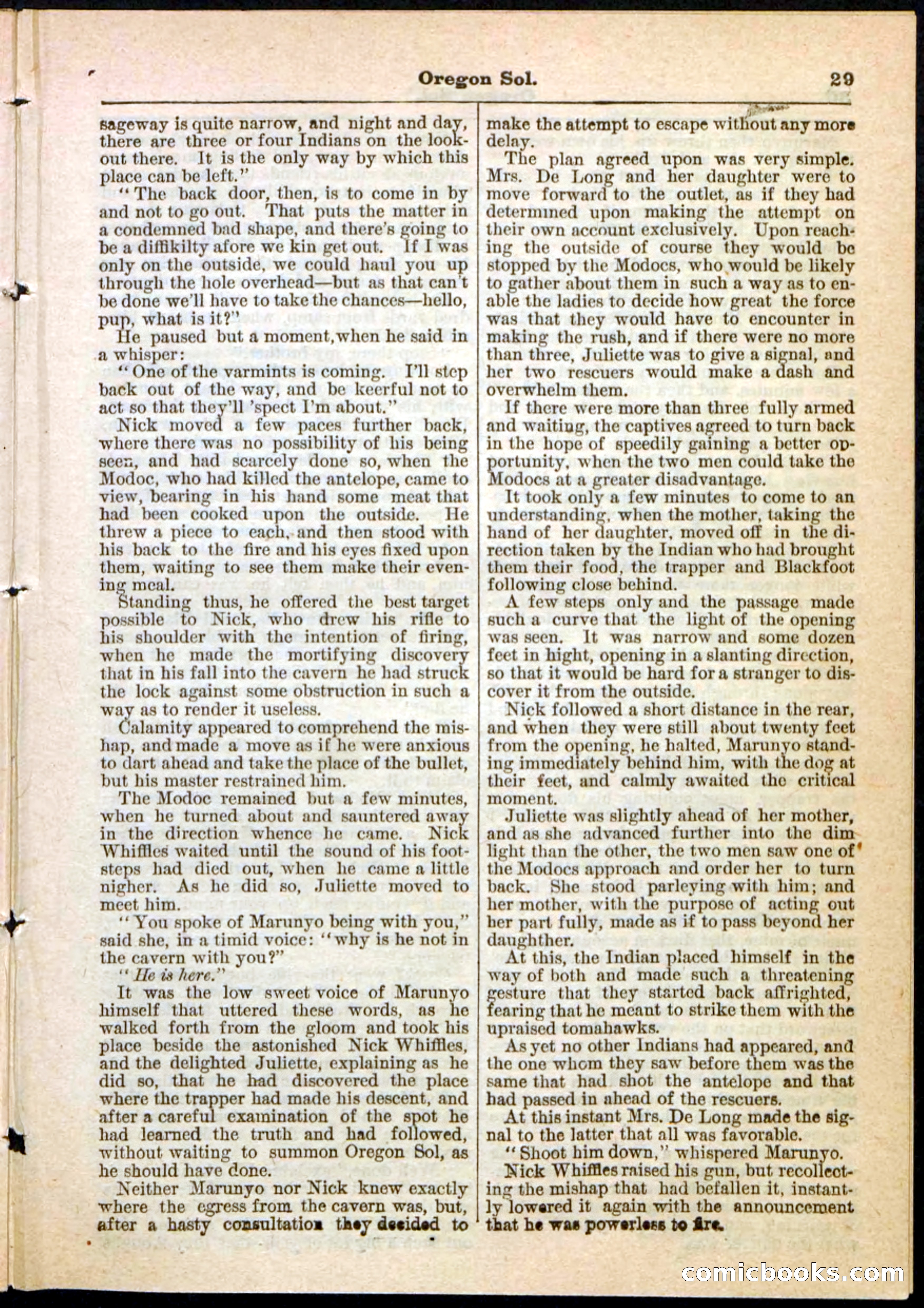 Oregon Sol; or, Nick Whiffles's Boy Spy — page 29 of 32