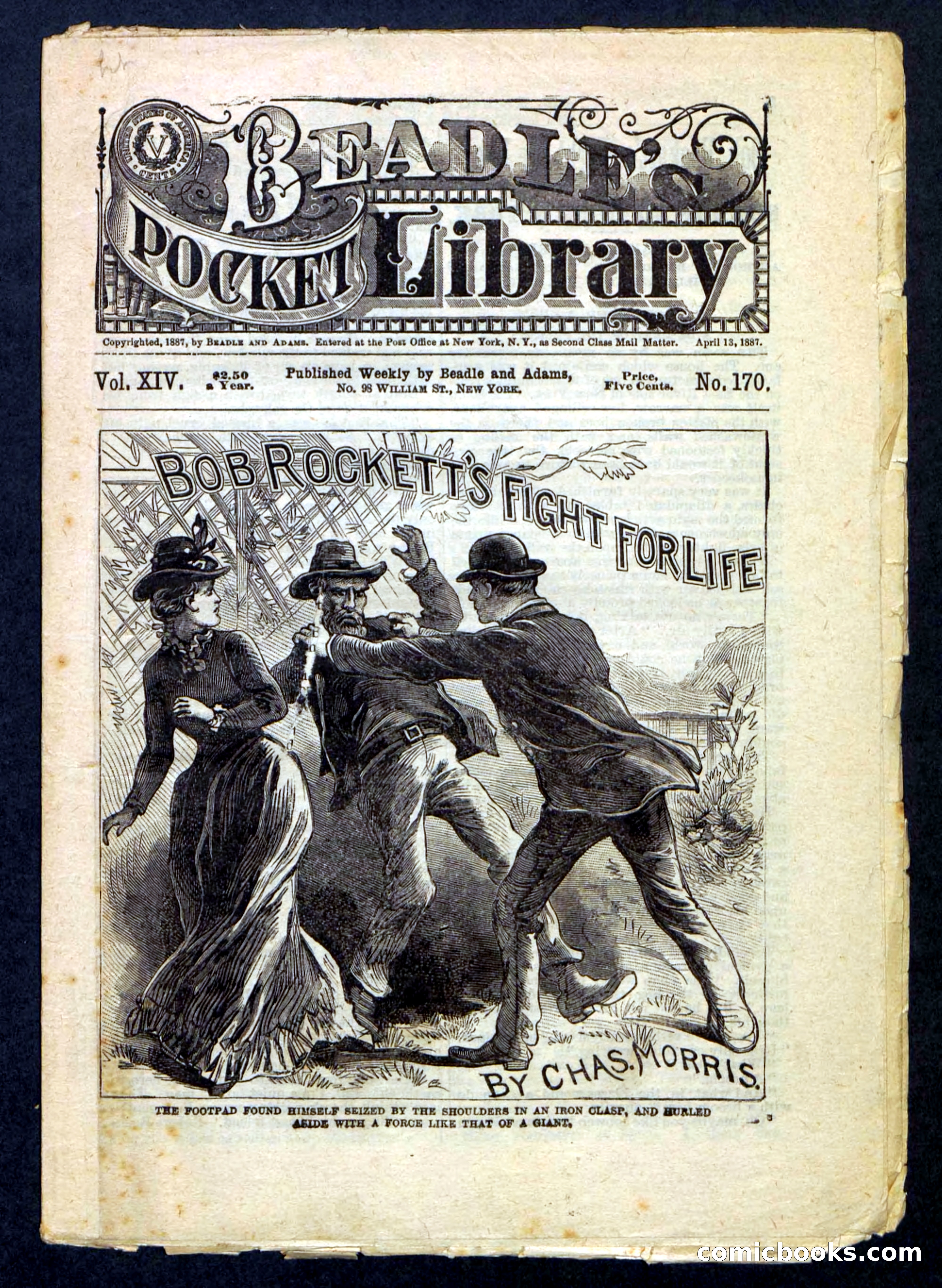Beadle's Pocket Library No. 170