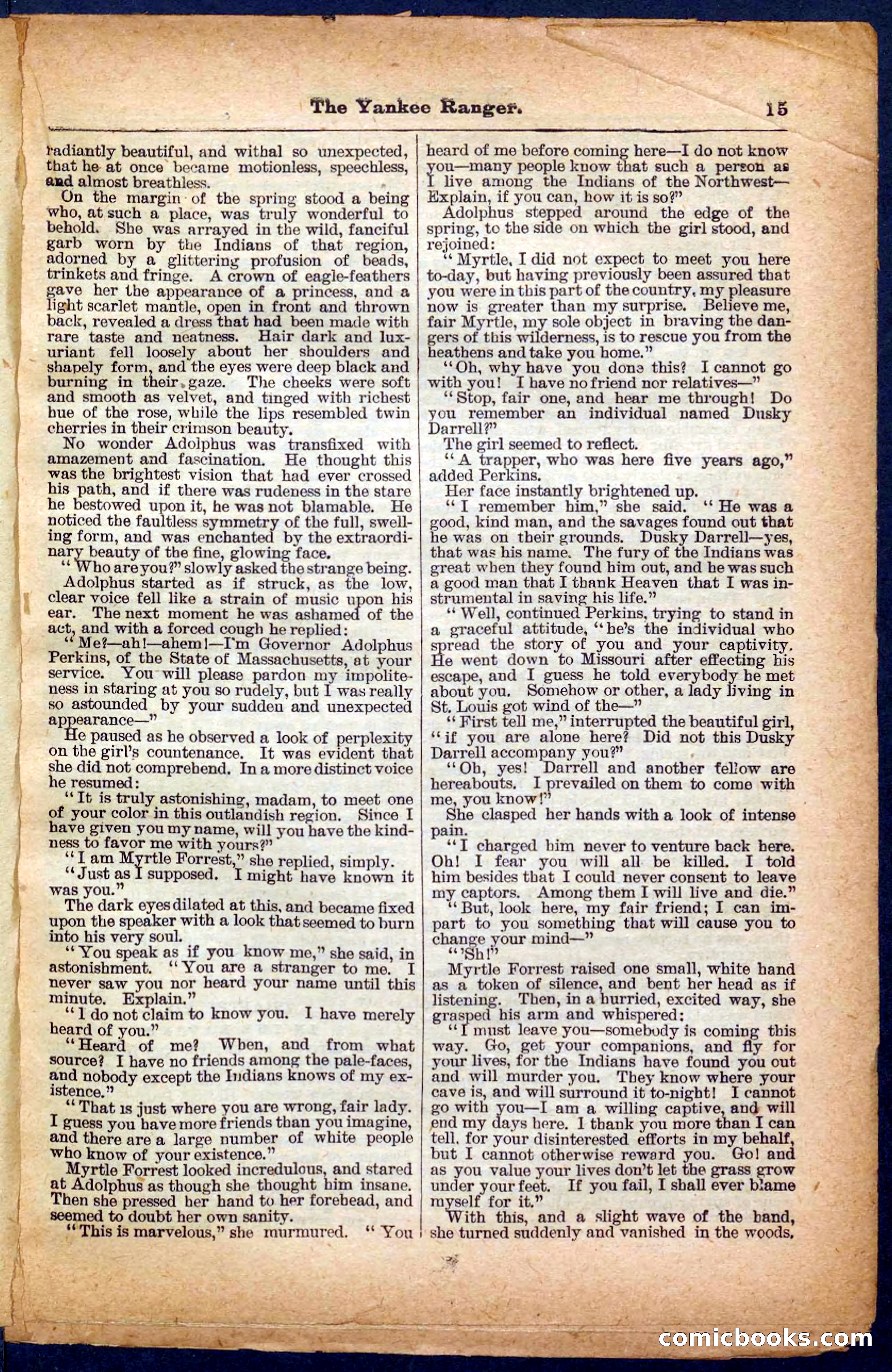 The Yankee Ranger — page 15 of 32