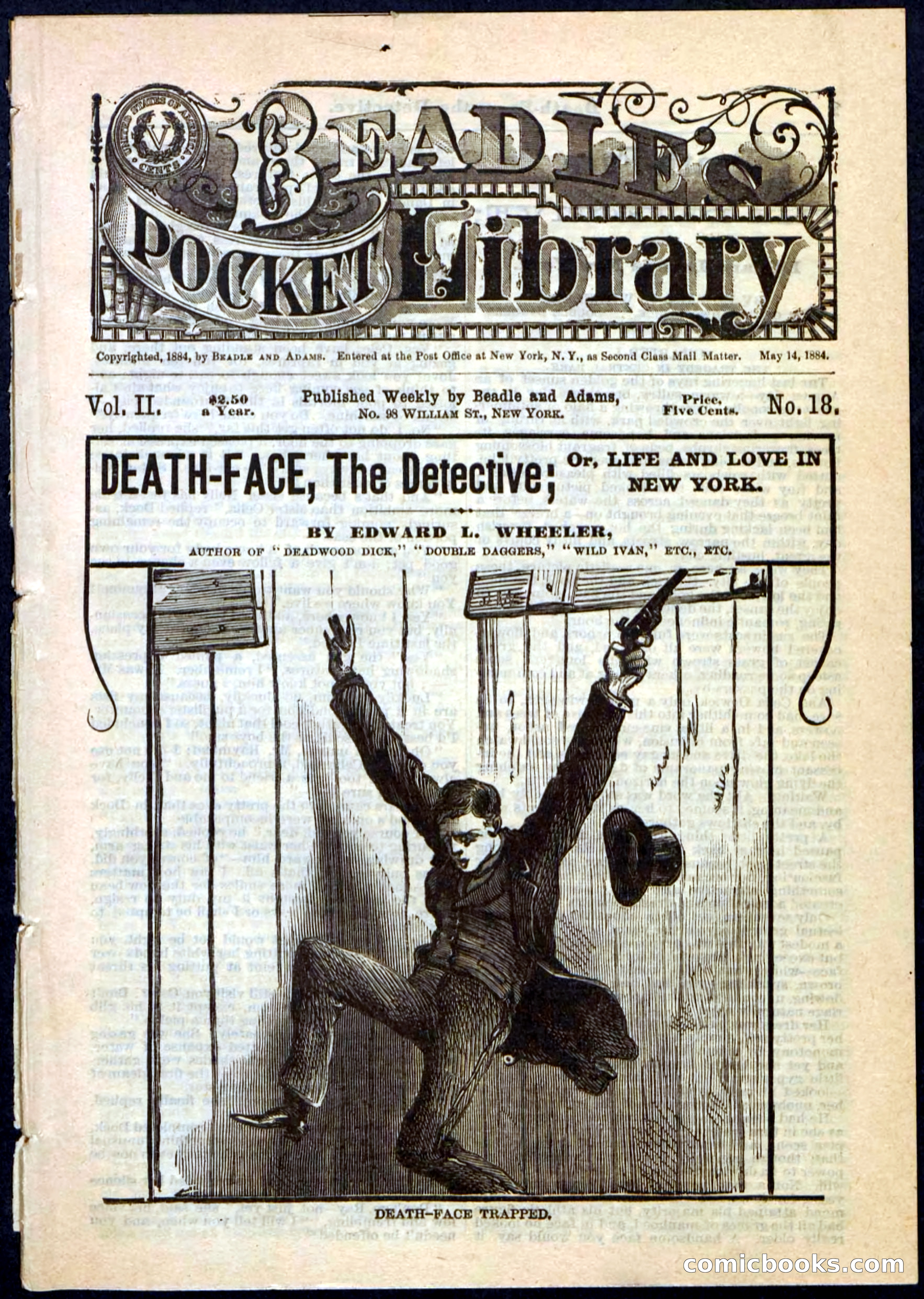 Beadle's Pocket Library, Vol. II, No. 18