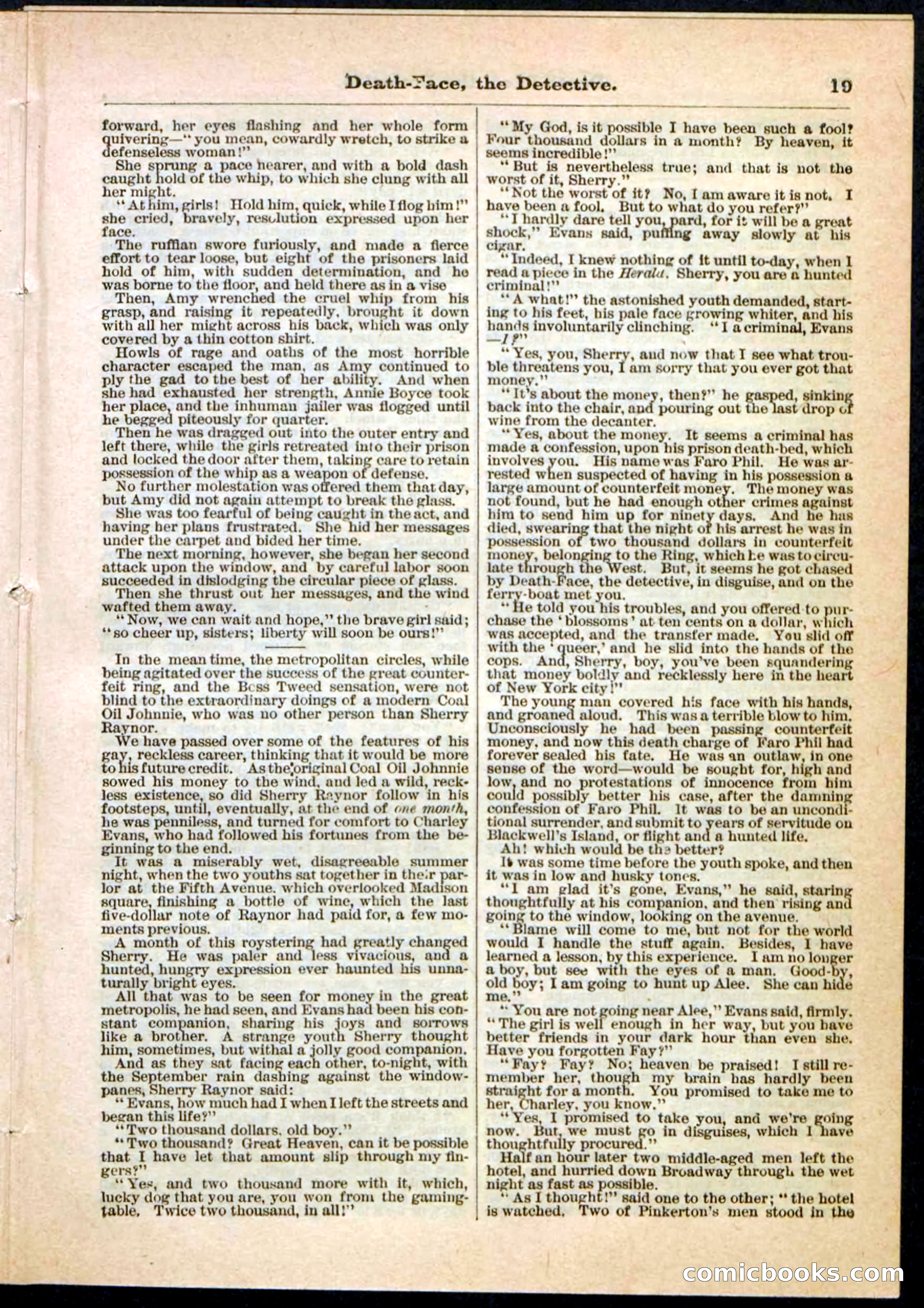 Beadle's Pocket Library, Vol. II, No. 18 — page 19 of 32