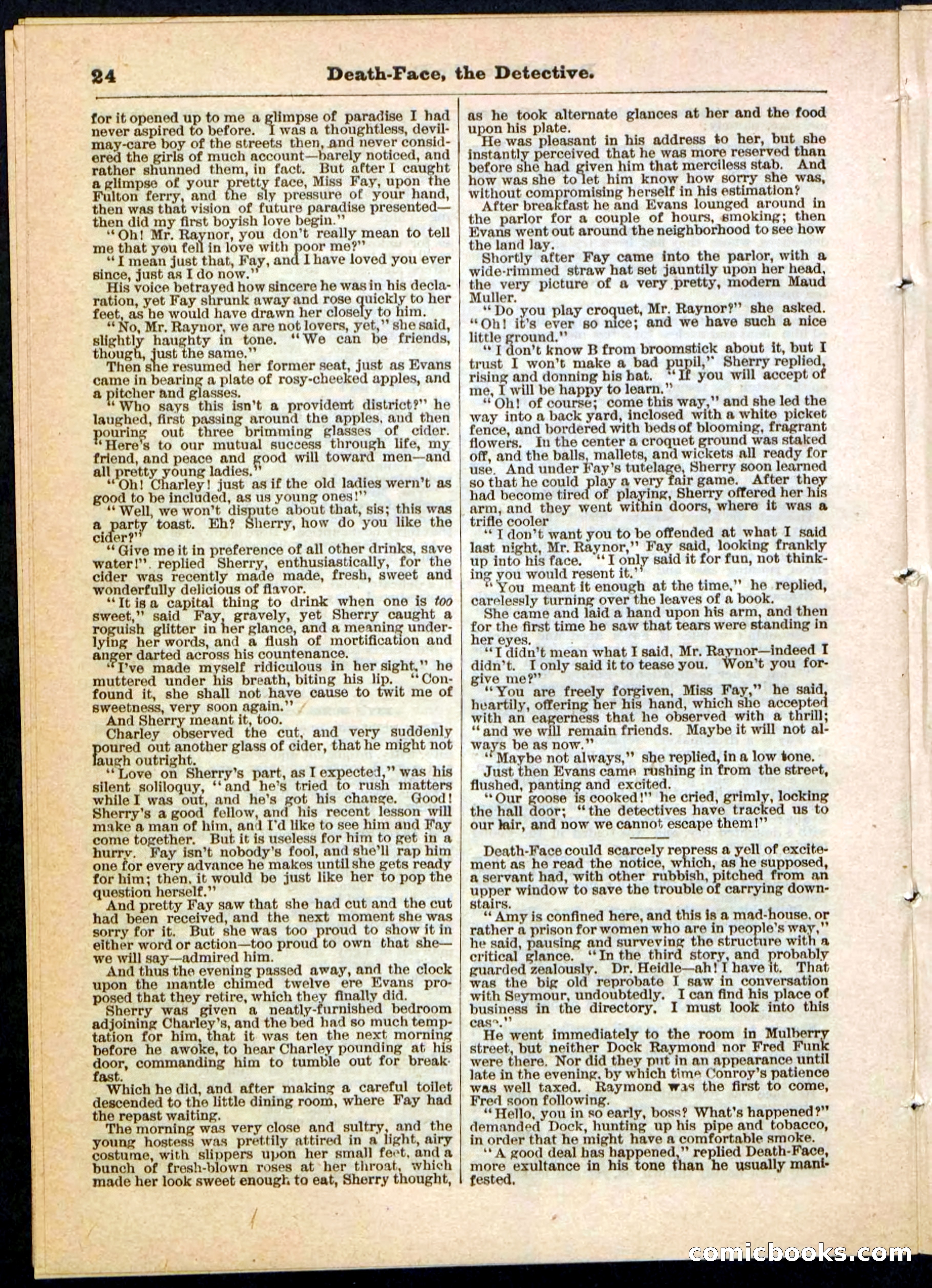 Beadle's Pocket Library, Vol. II, No. 18 — page 24 of 32