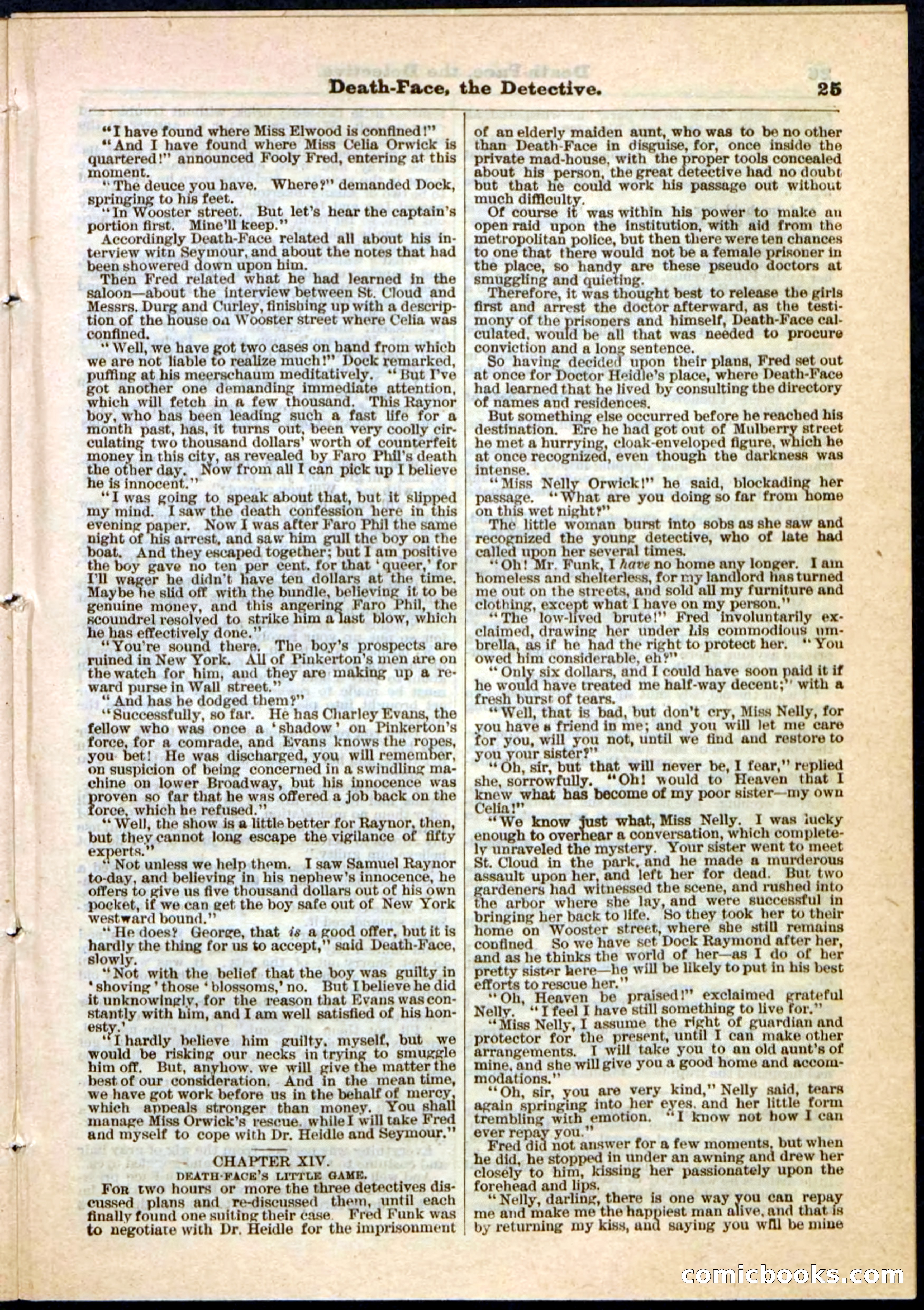 Beadle's Pocket Library, Vol. II, No. 18 — page 25 of 32