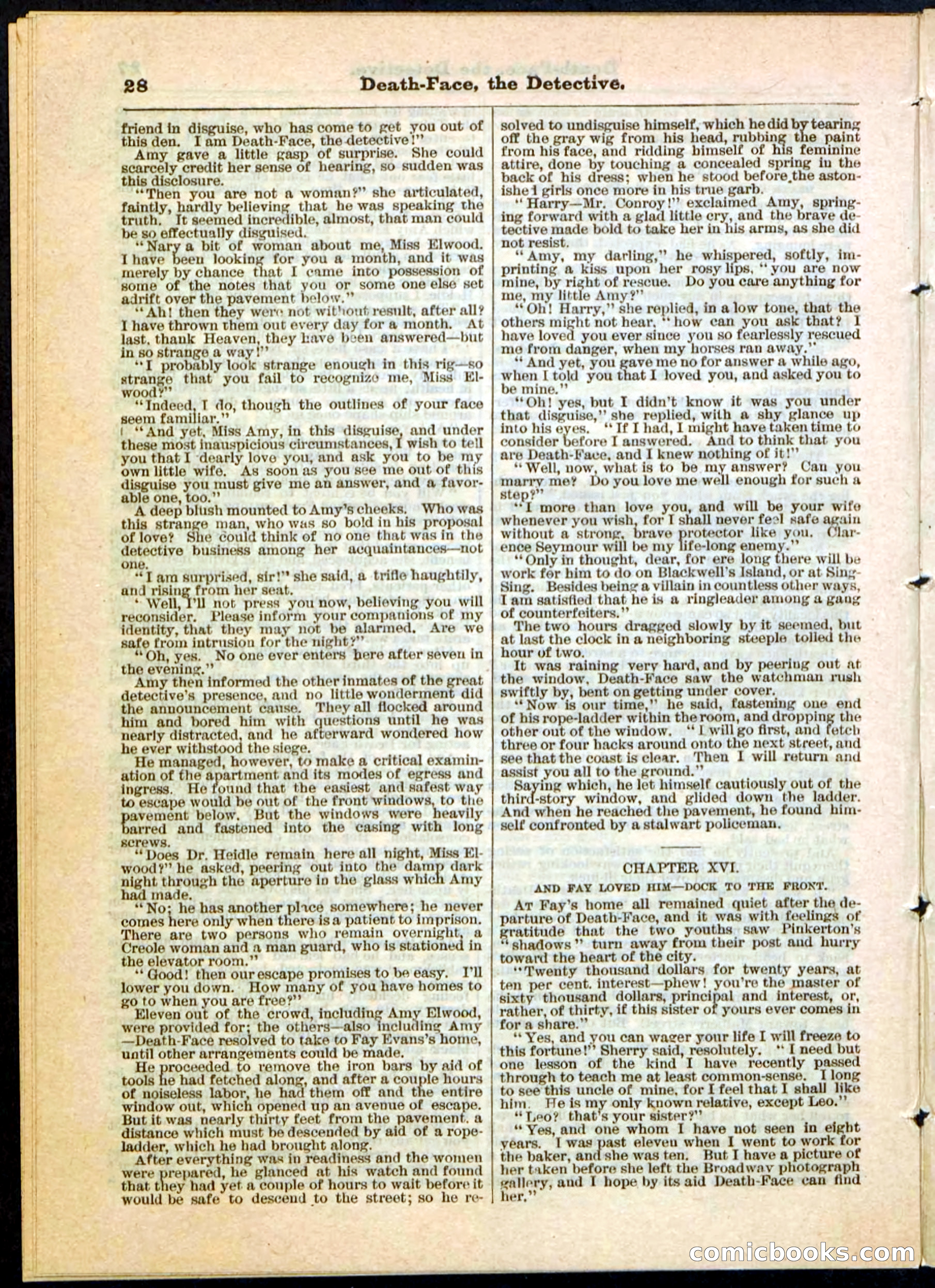 Beadle's Pocket Library, Vol. II, No. 18 — page 28 of 32
