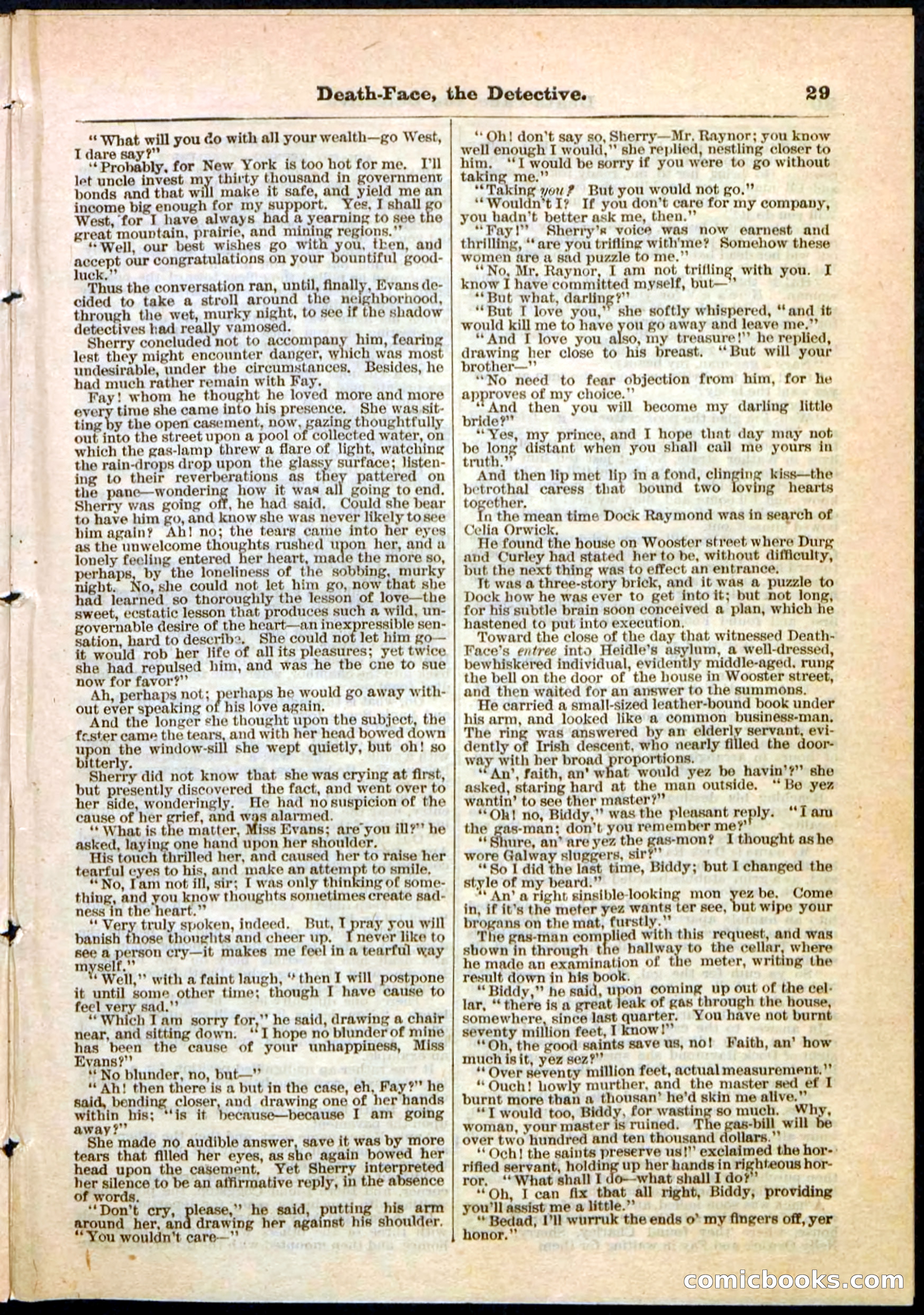 Beadle's Pocket Library, Vol. II, No. 18 — page 29 of 32
