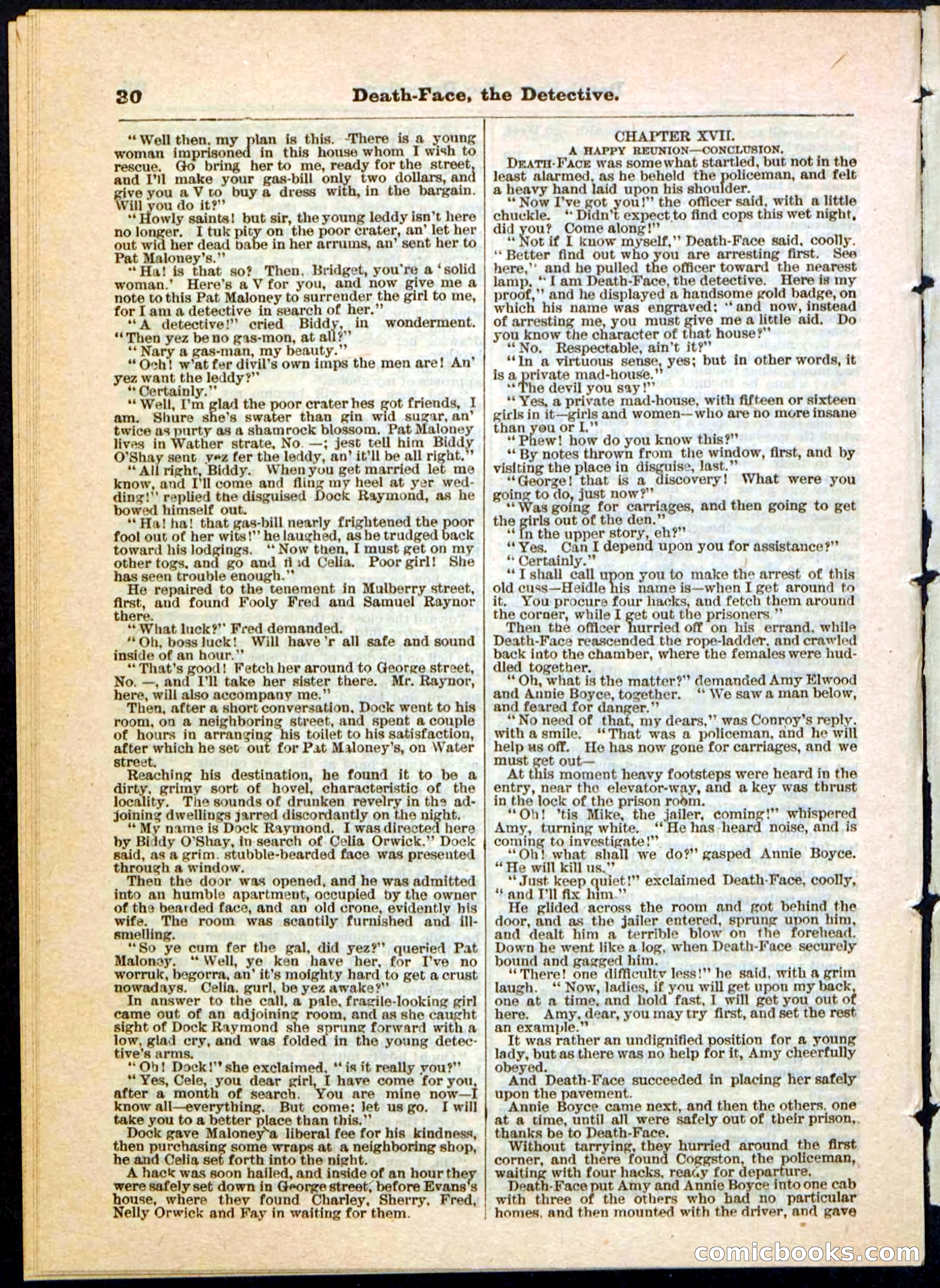 Beadle's Pocket Library, Vol. II, No. 18 — page 30 of 32