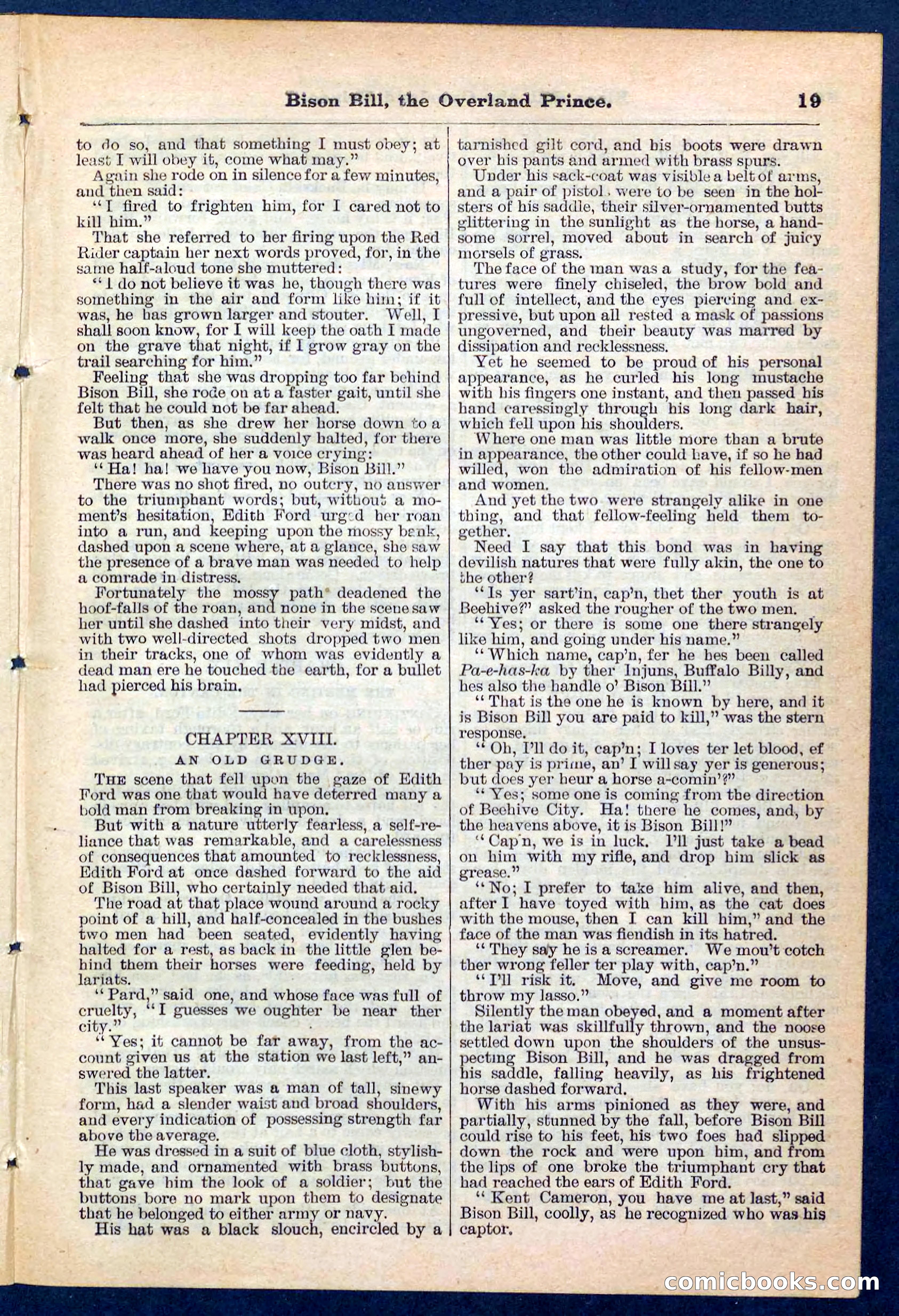 Beadle's Pocket Library No. 185 — page 19 of 32