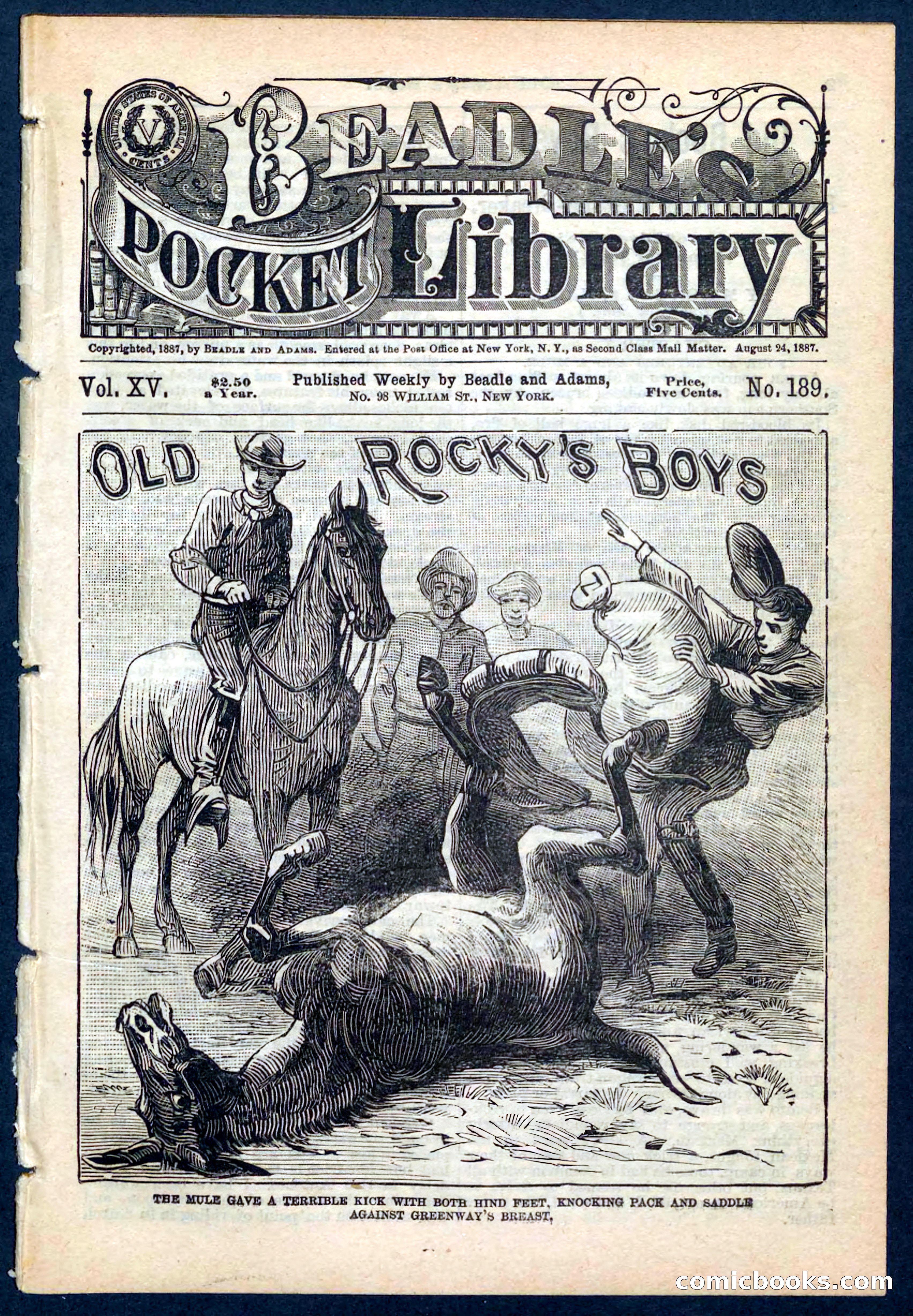 Beadle's Pocket Library No. 189