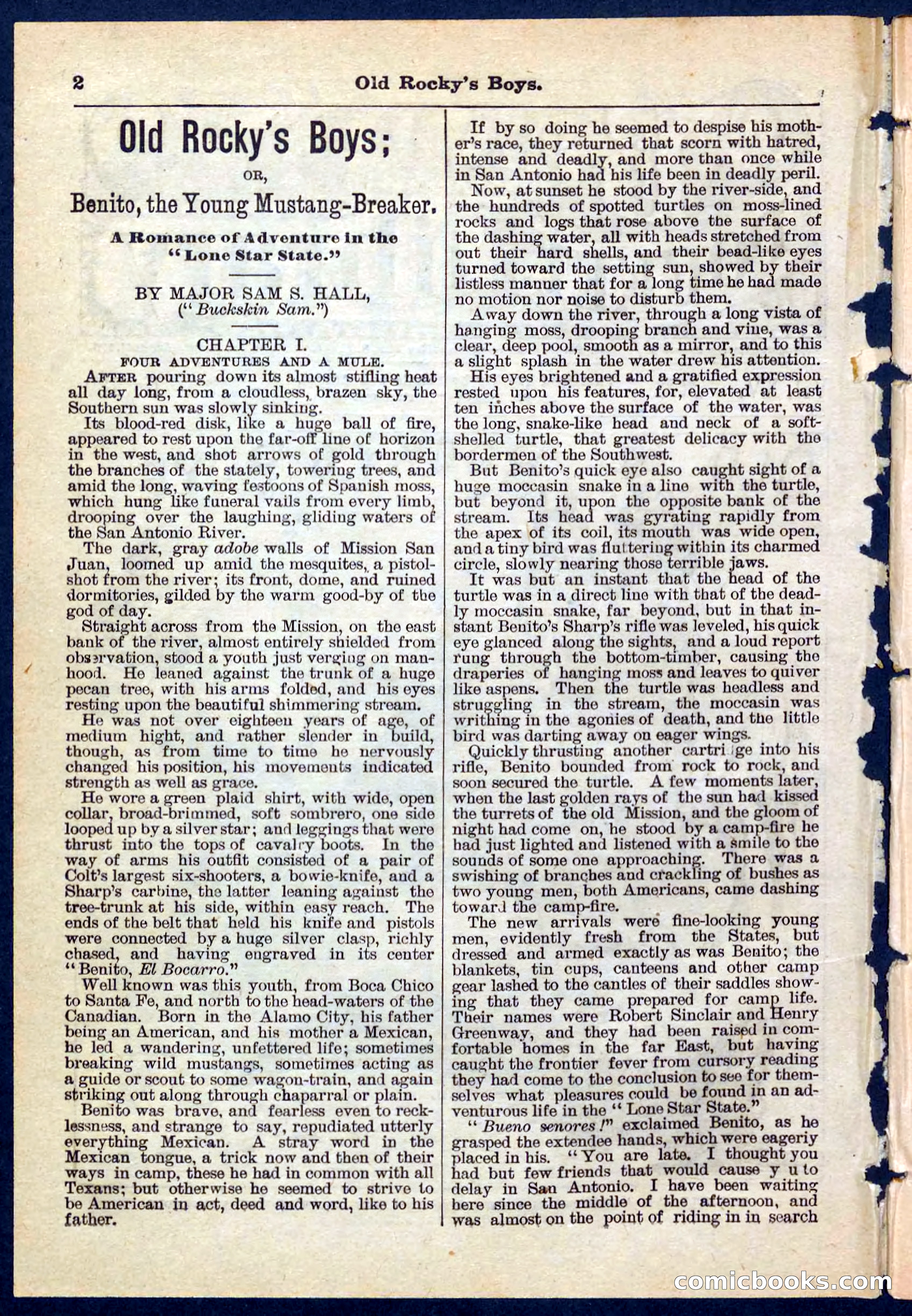 Beadle's Pocket Library No. 189 — page 2 of 32