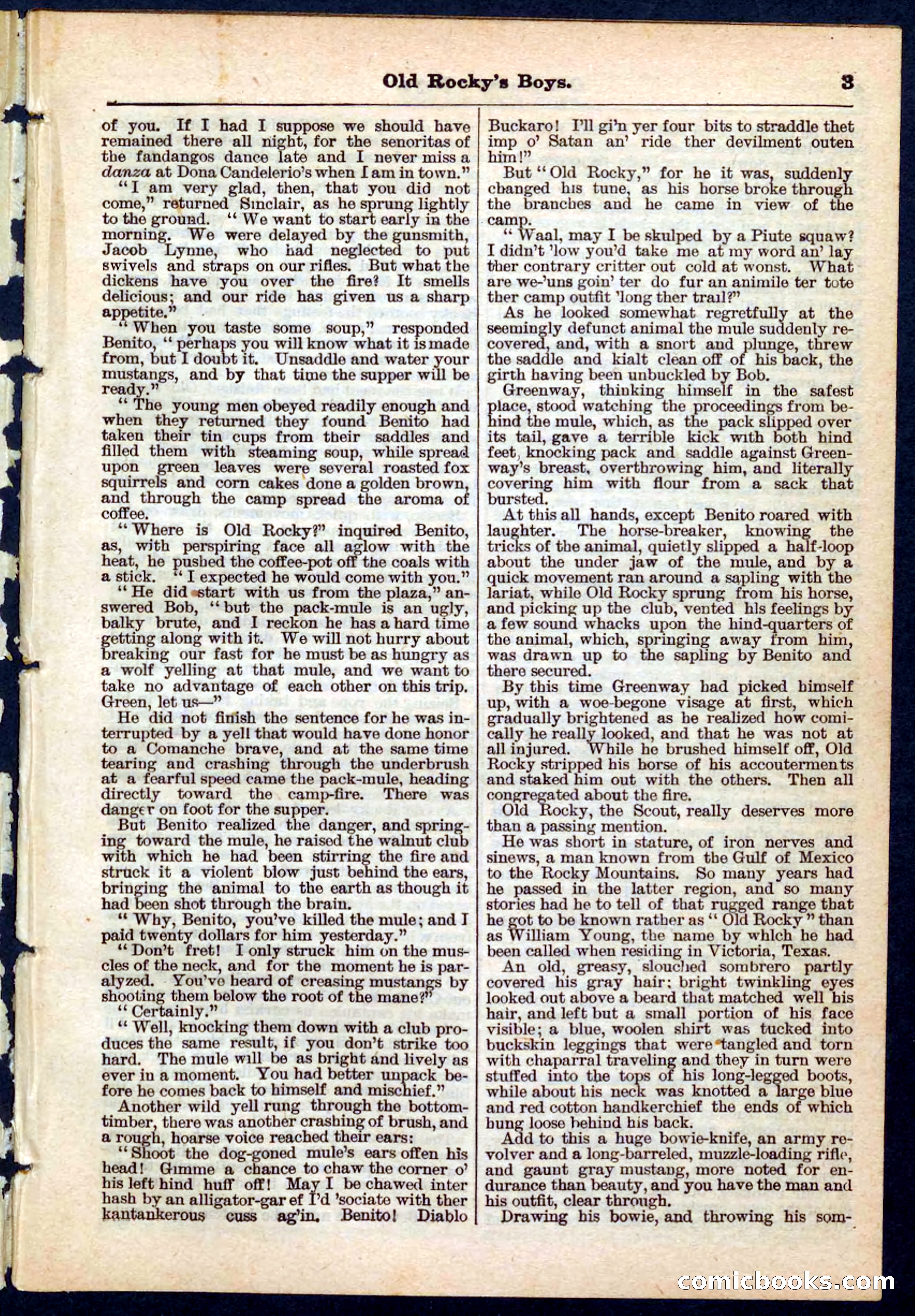 Beadle's Pocket Library No. 189 — page 3 of 32