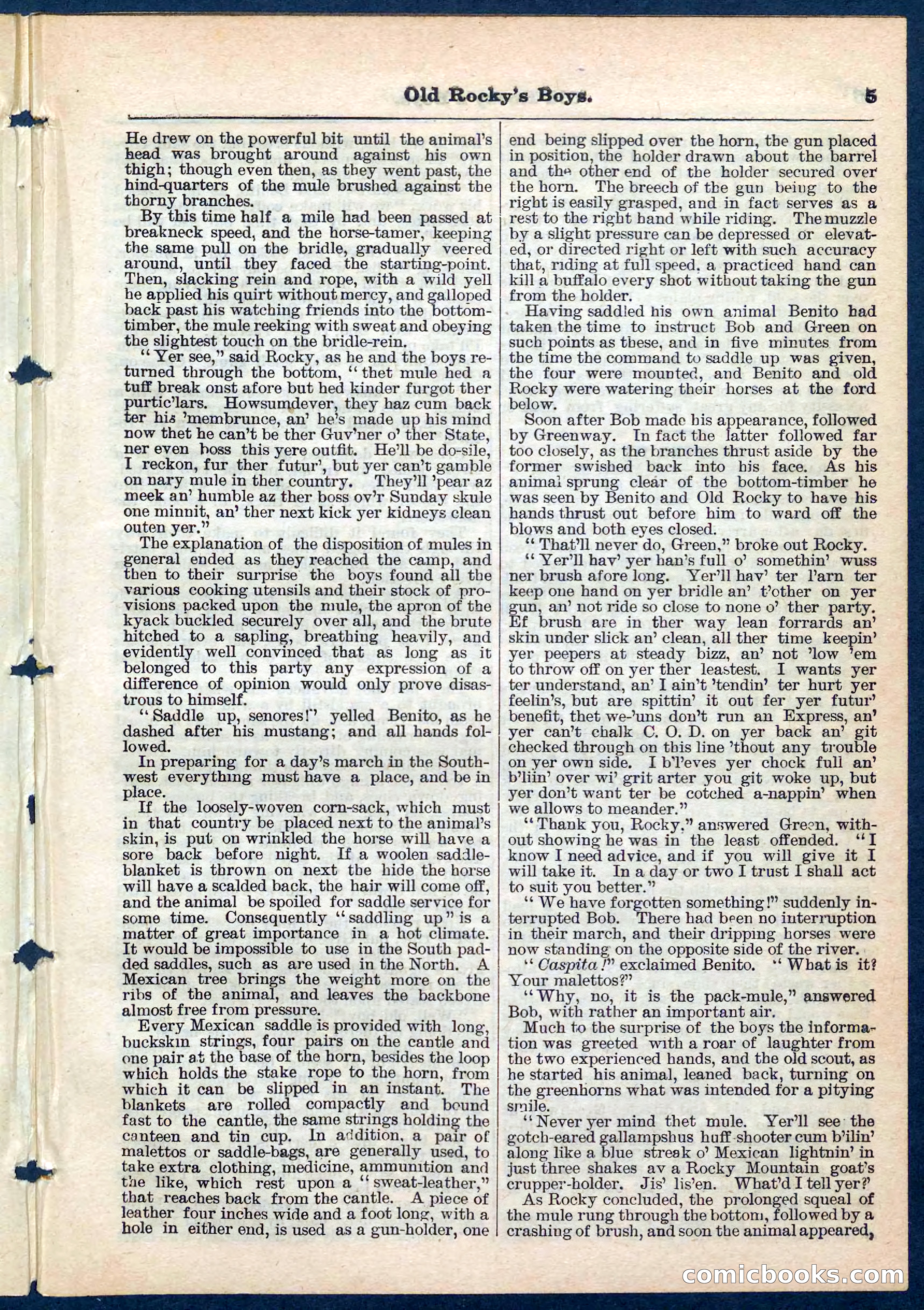 Beadle's Pocket Library No. 189 — page 5 of 32