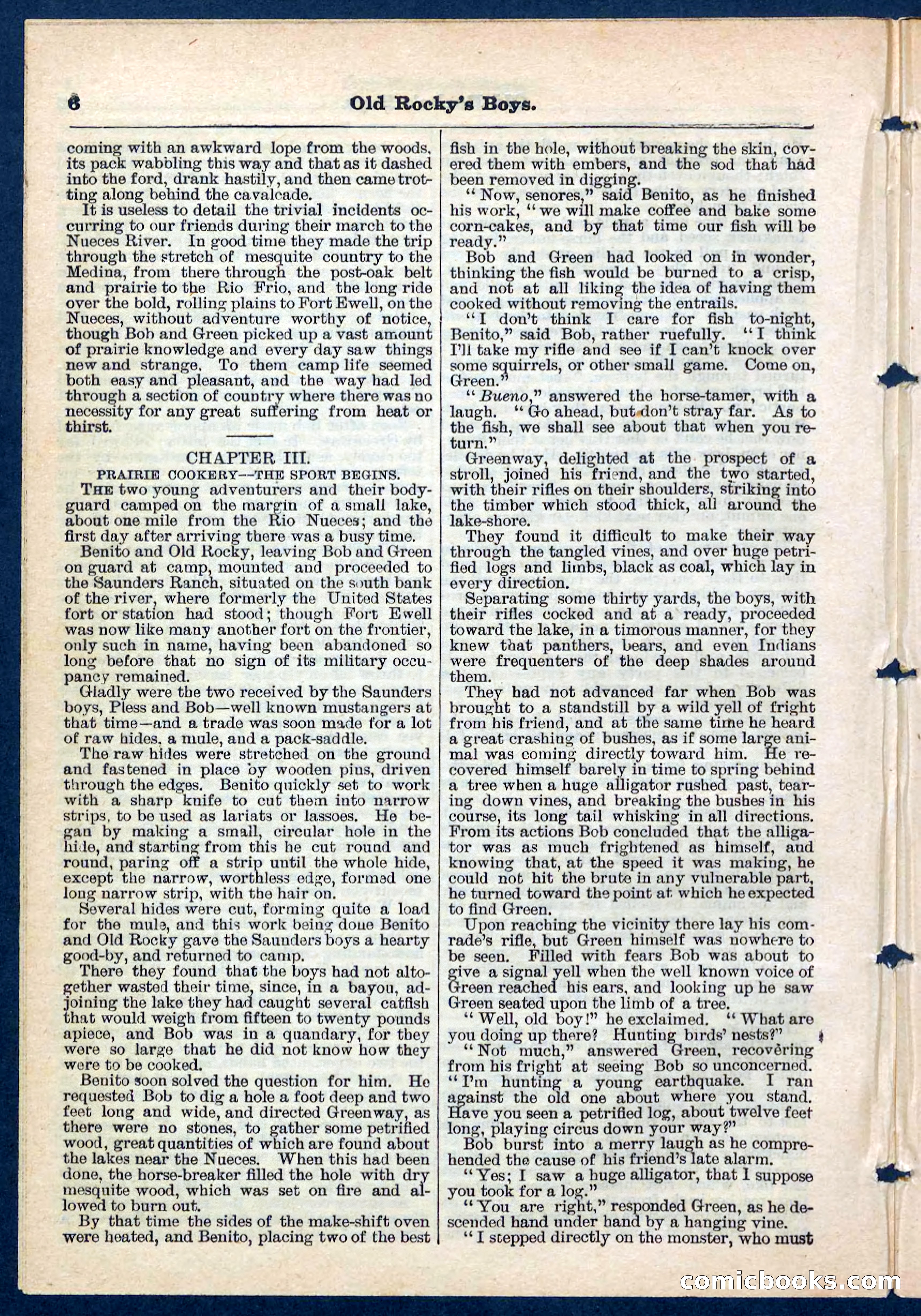 Beadle's Pocket Library No. 189 — page 6 of 32