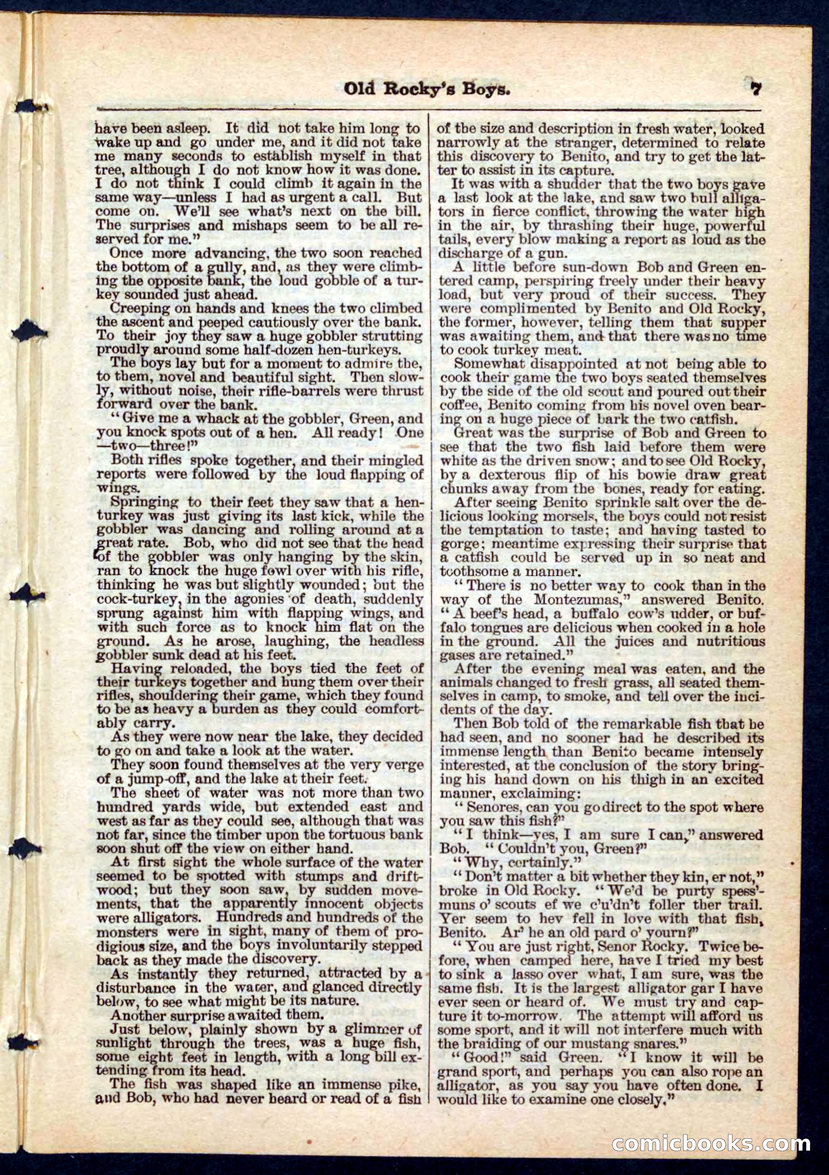 Beadle's Pocket Library No. 189 — page 7 of 32