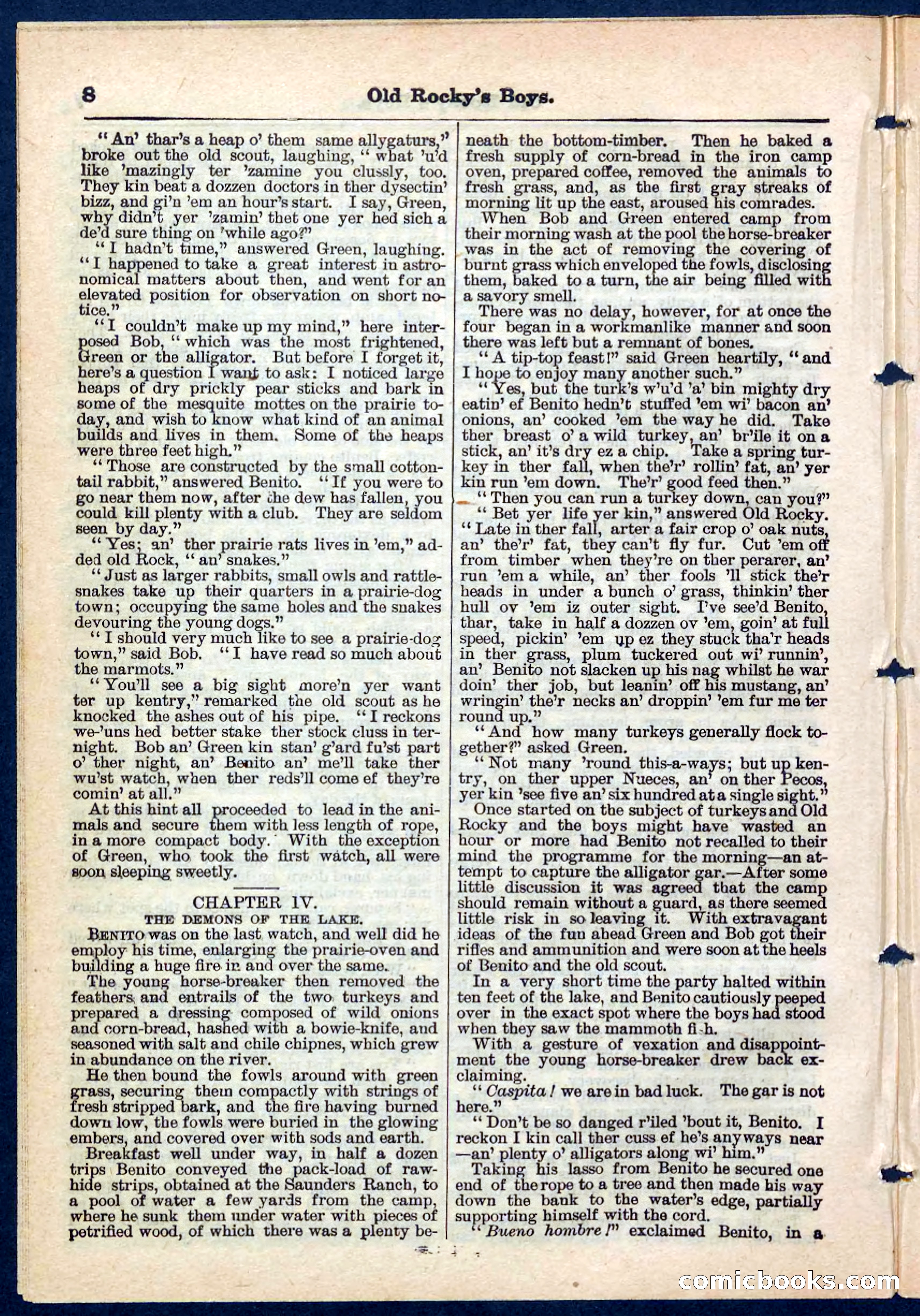 Beadle's Pocket Library No. 189 — page 8 of 32
