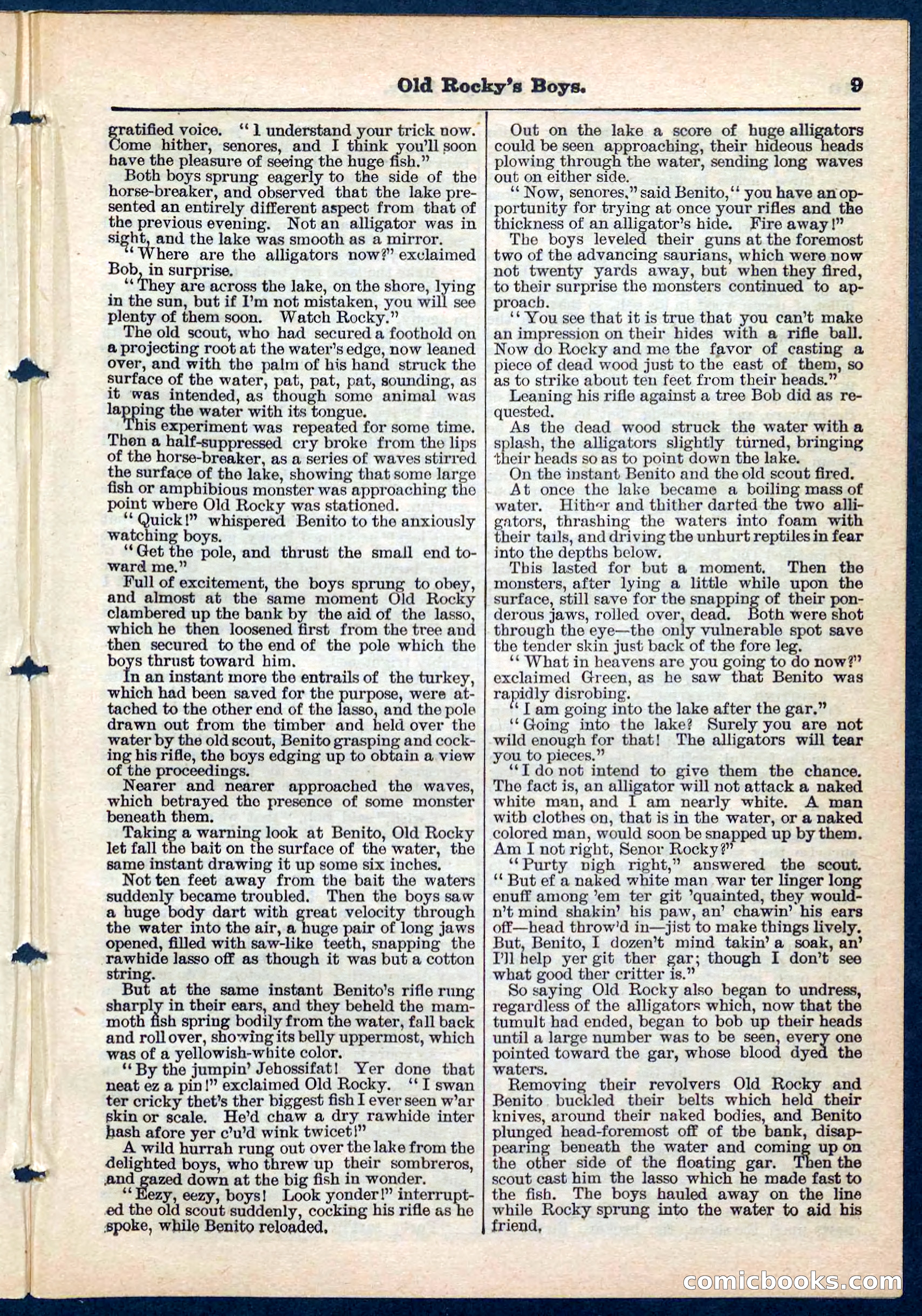 Beadle's Pocket Library No. 189 — page 9 of 32