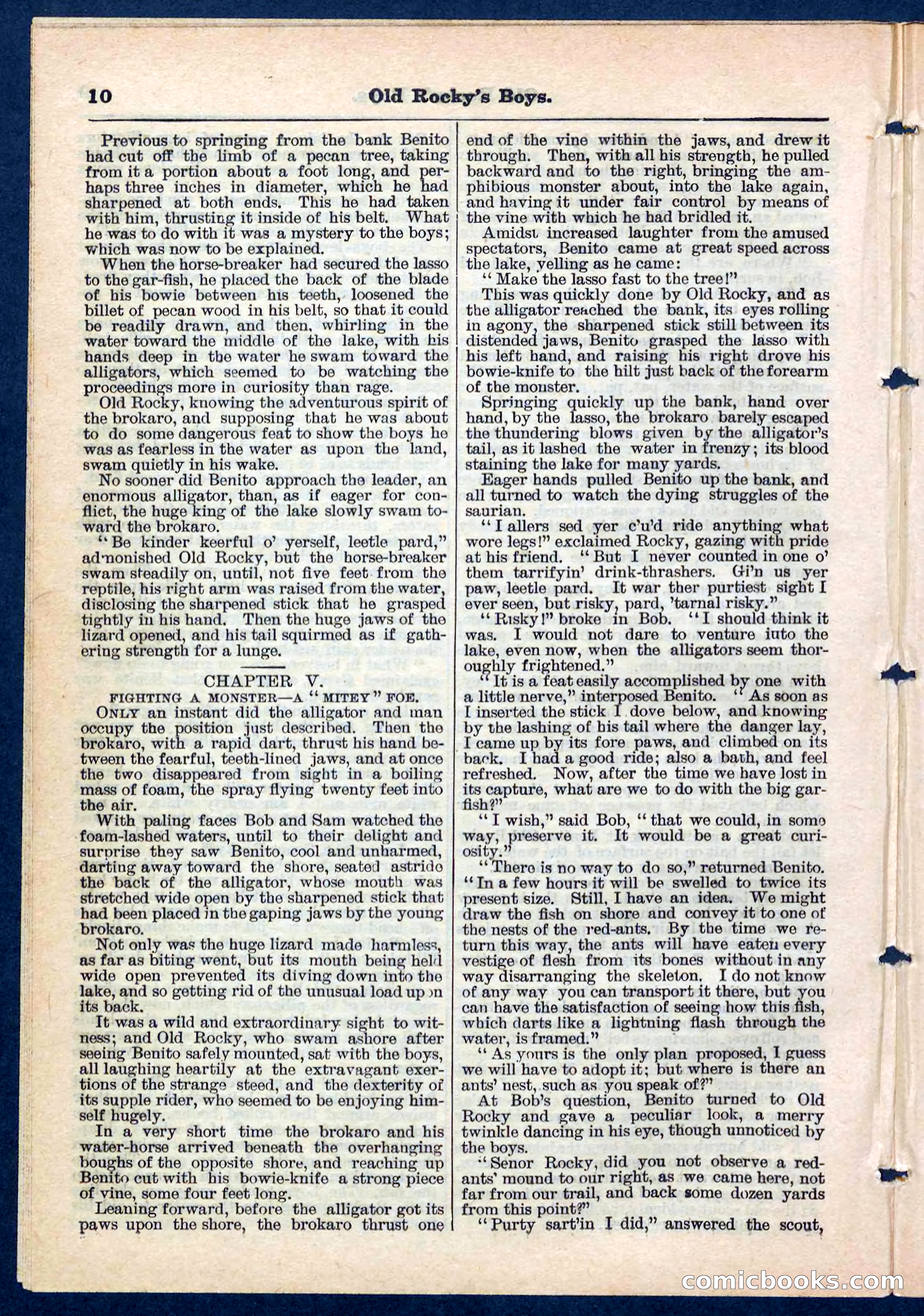 Beadle's Pocket Library No. 189 — page 10 of 32
