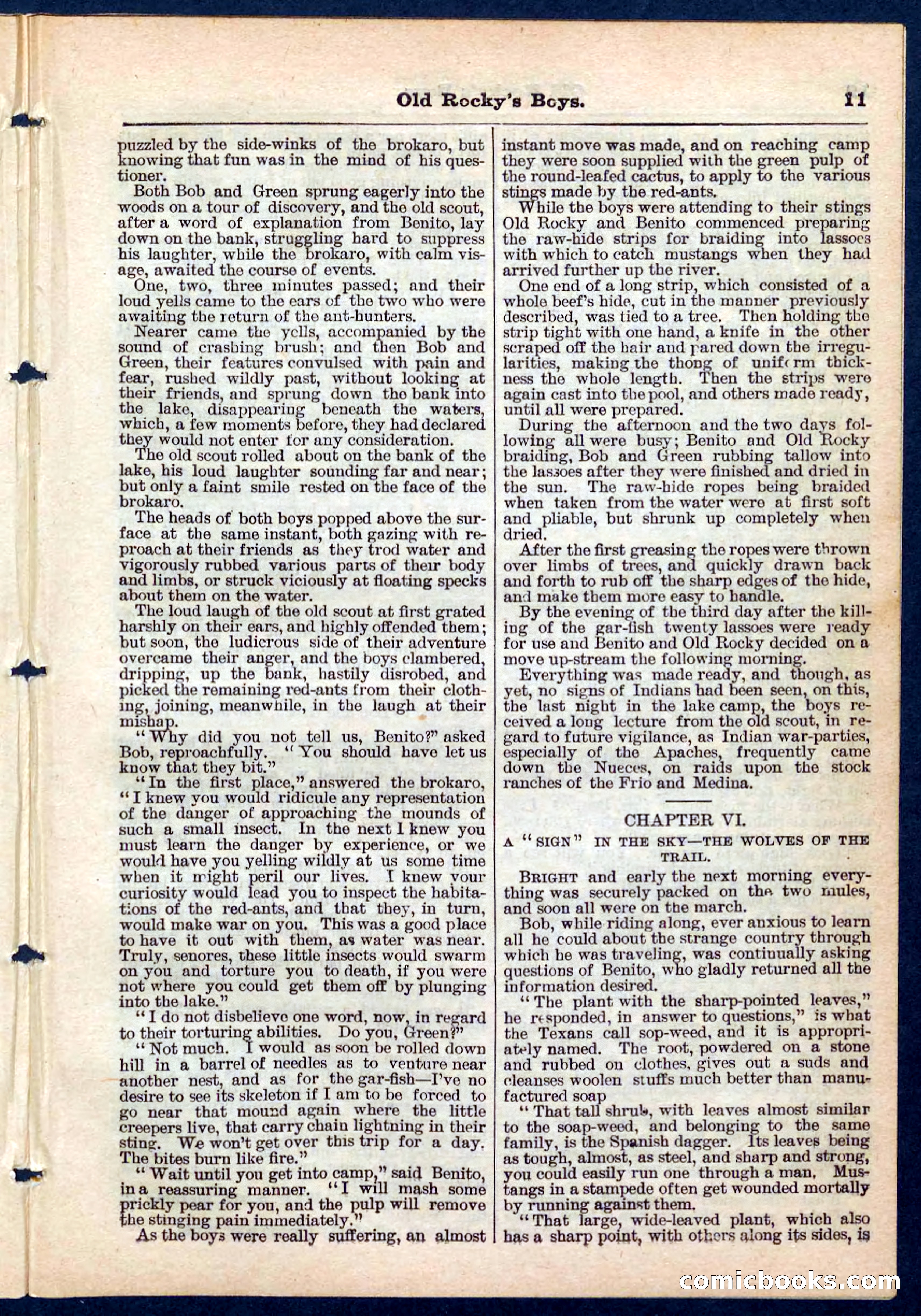Beadle's Pocket Library No. 189 — page 11 of 32