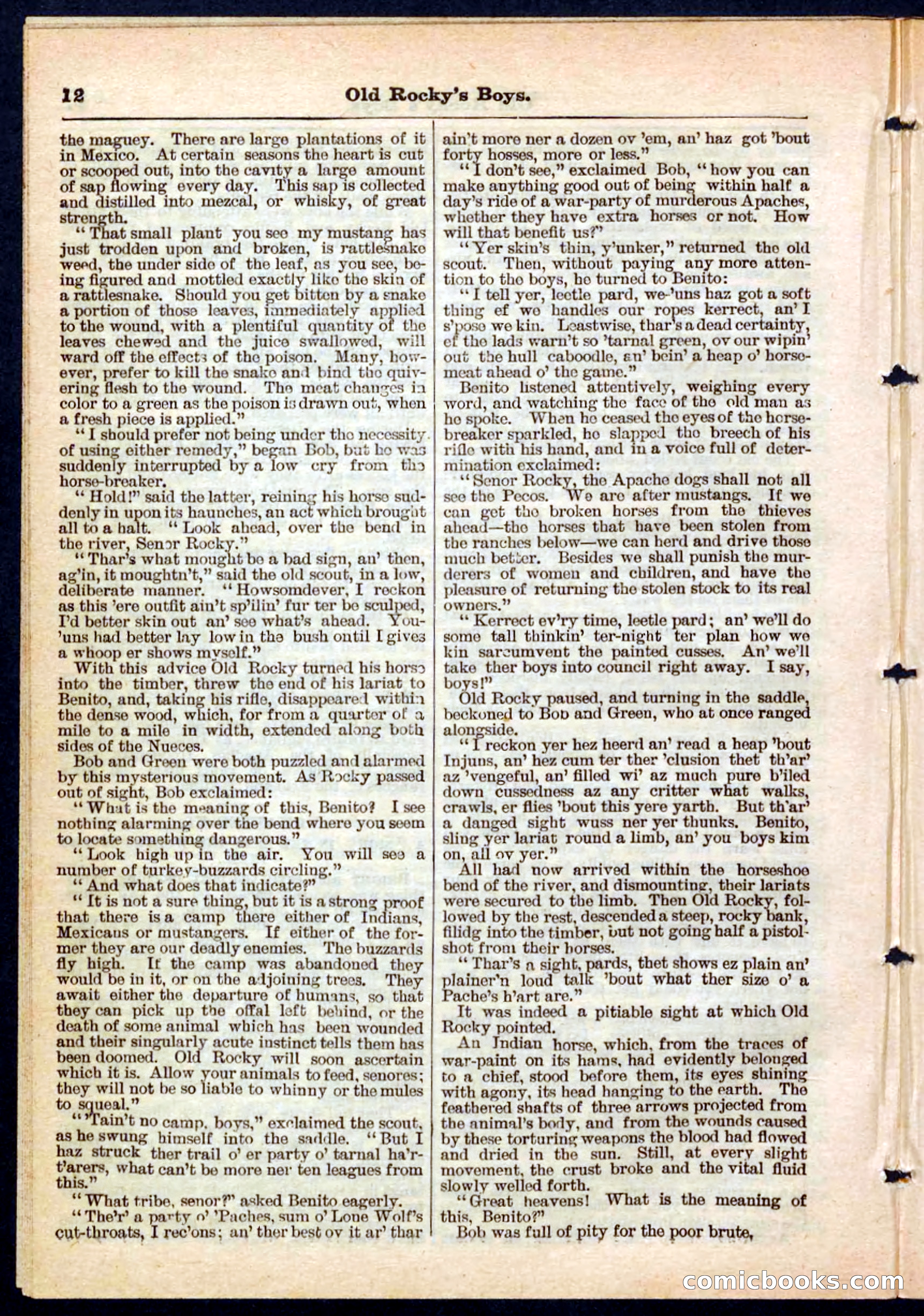 Beadle's Pocket Library No. 189 — page 12 of 32