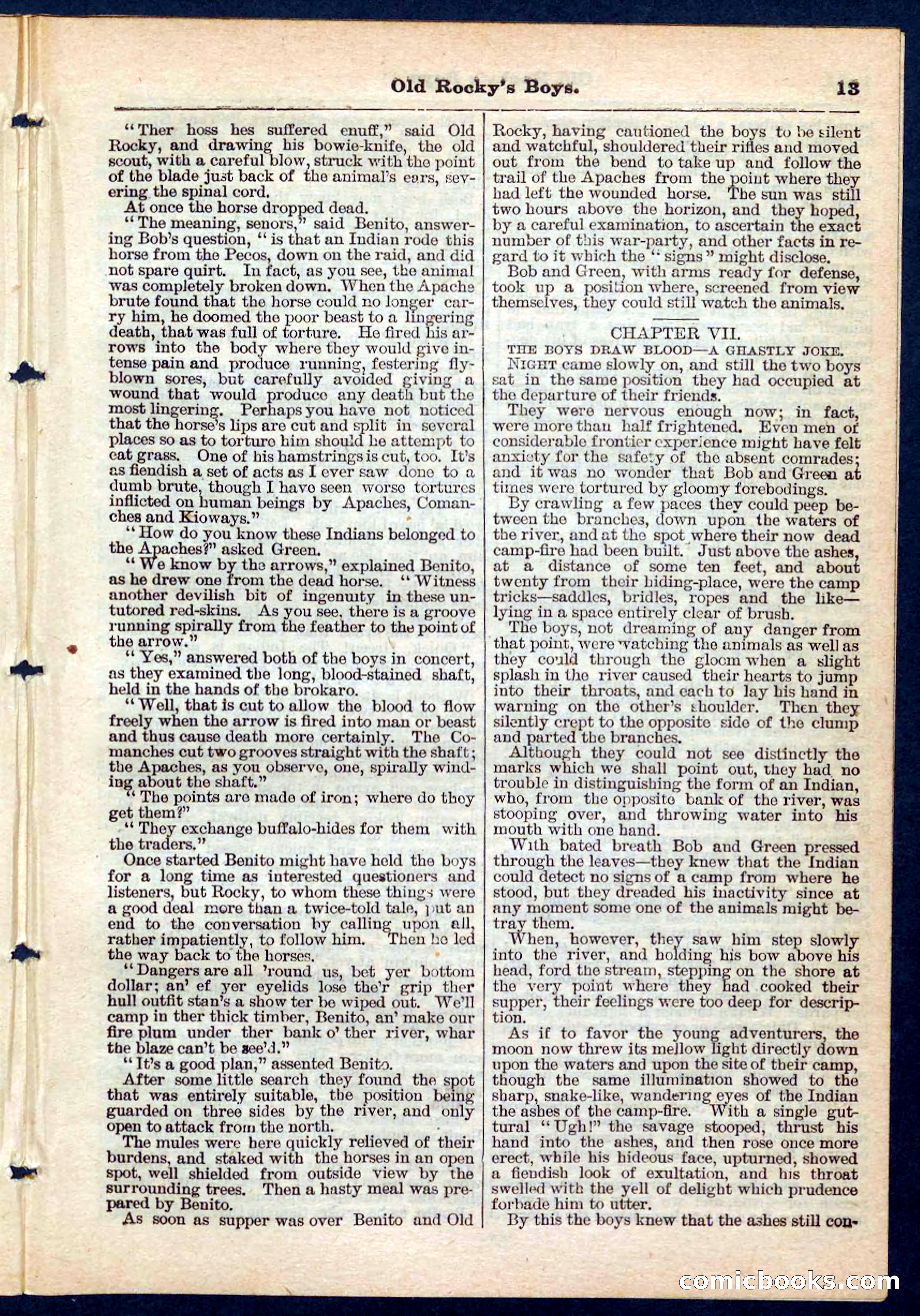 Beadle's Pocket Library No. 189 — page 13 of 32