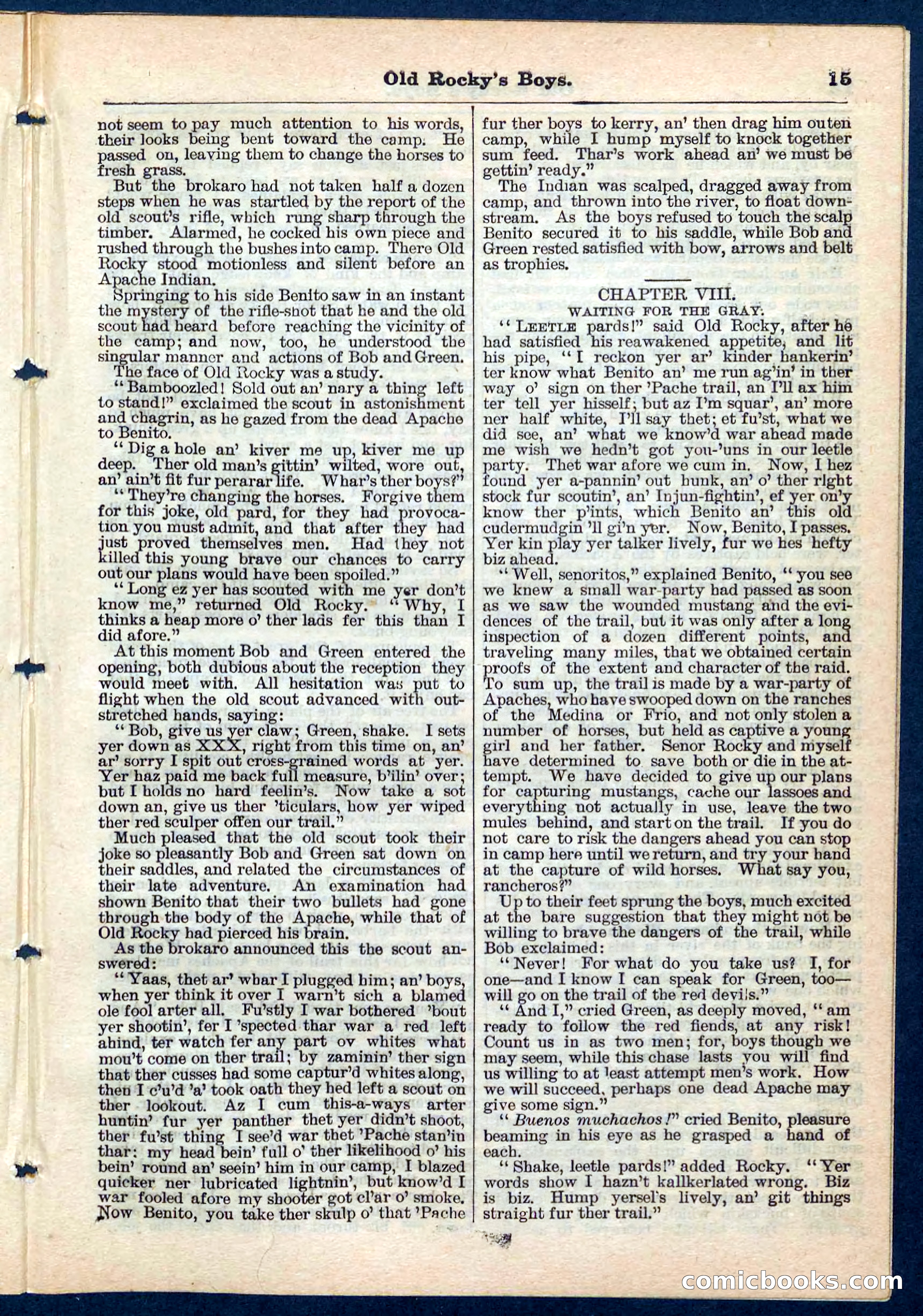 Beadle's Pocket Library No. 189 — page 15 of 32