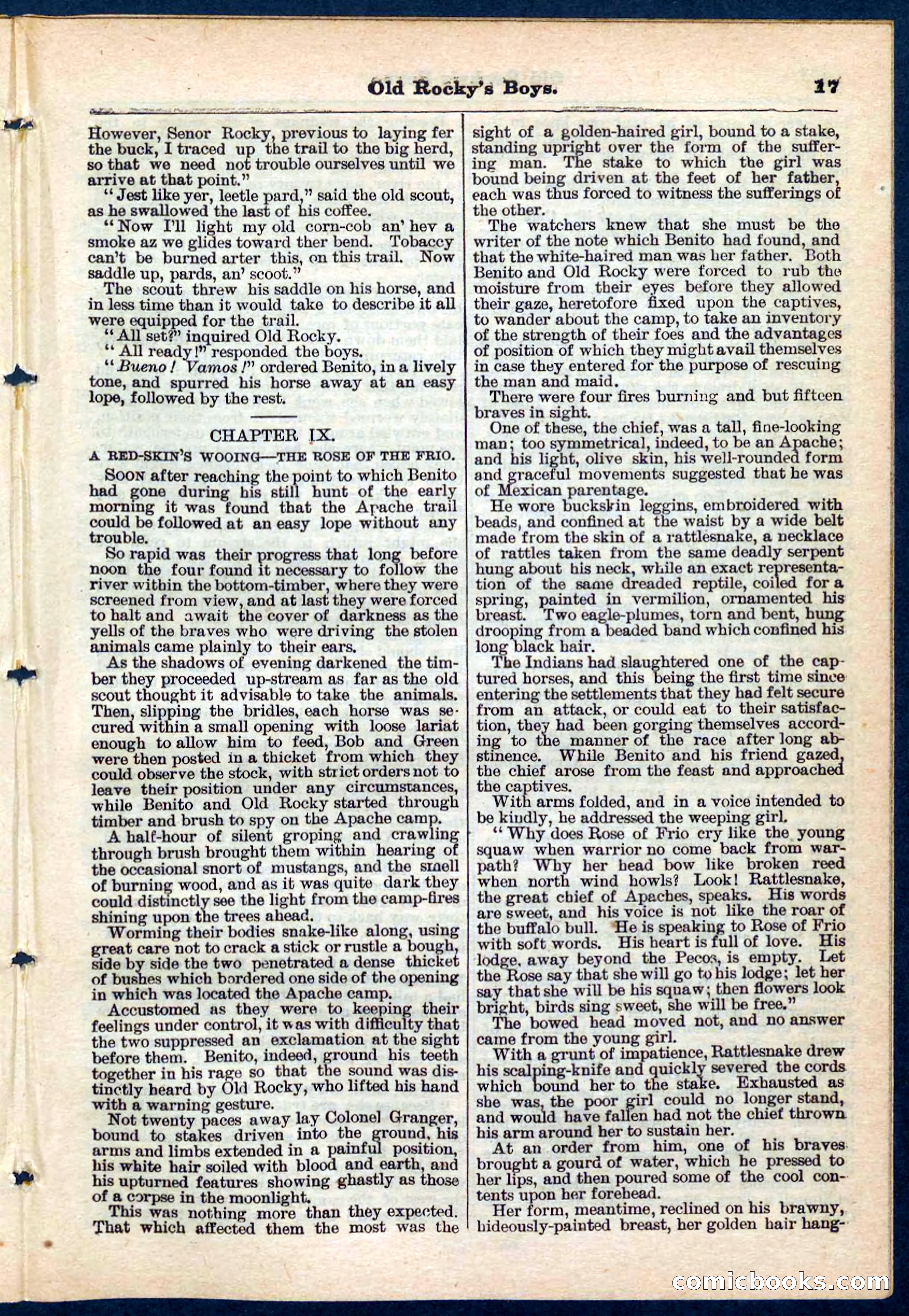 Beadle's Pocket Library No. 189 — page 17 of 32