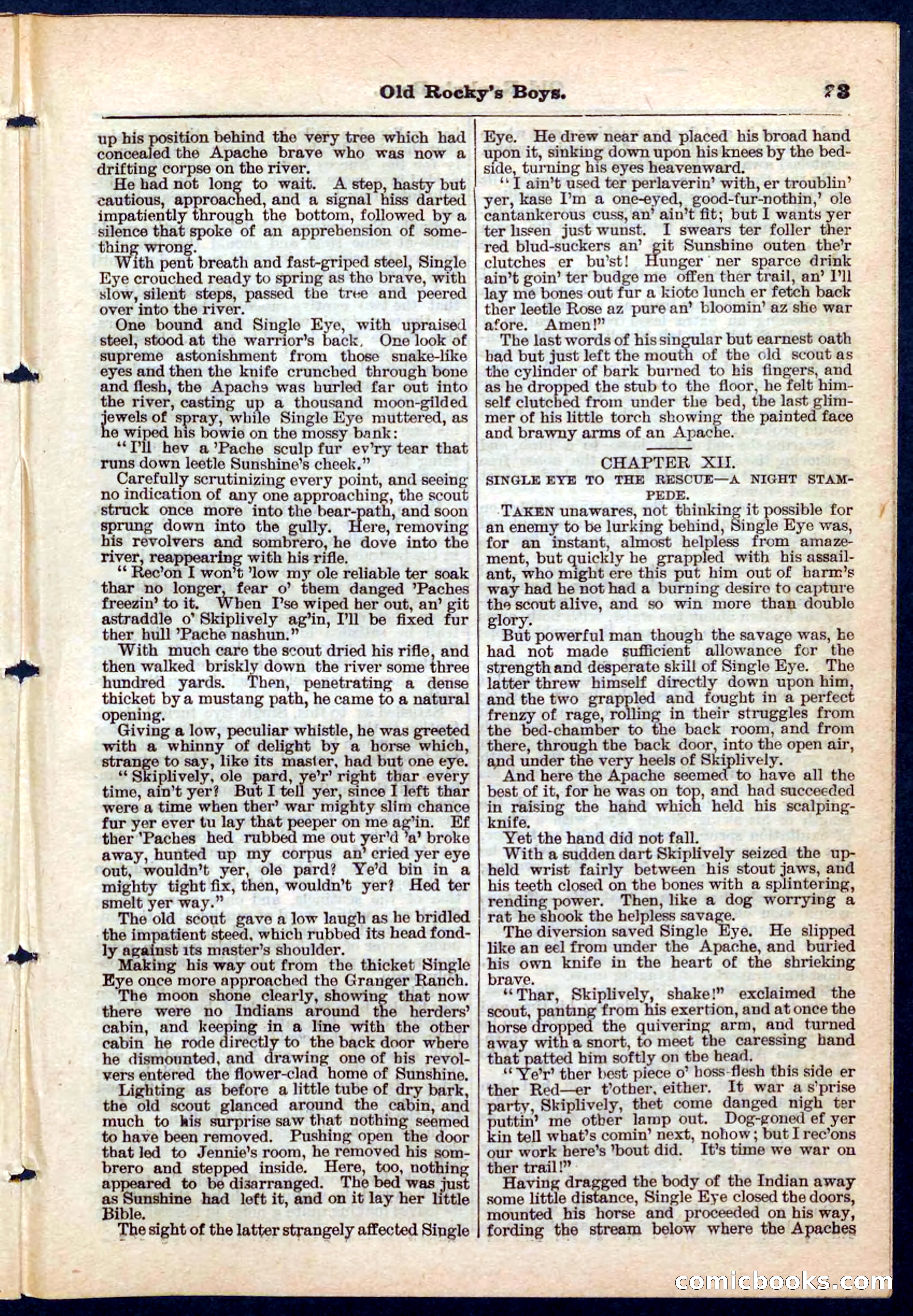 Beadle's Pocket Library No. 189 — page 23 of 32