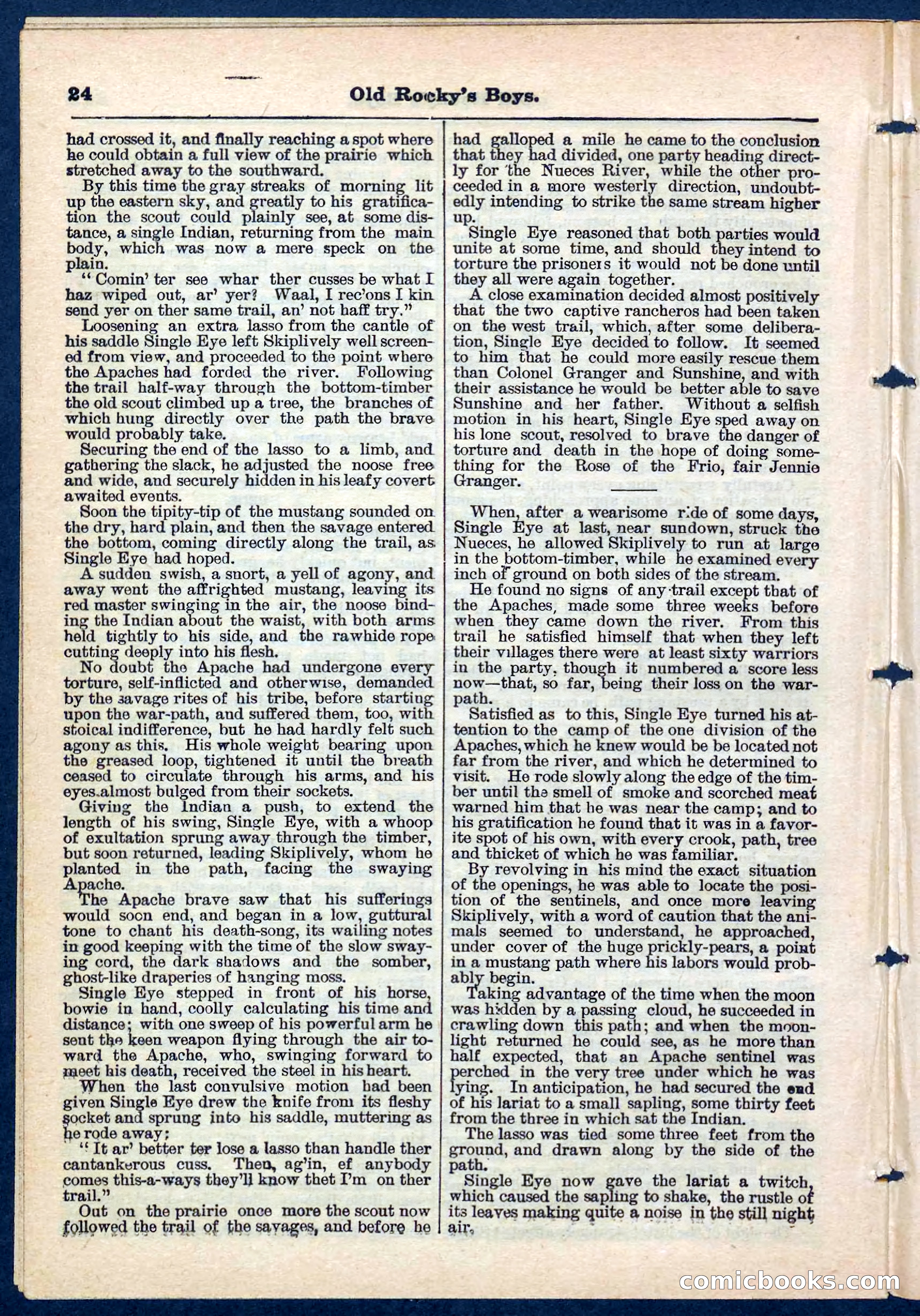 Beadle's Pocket Library No. 189 — page 24 of 32
