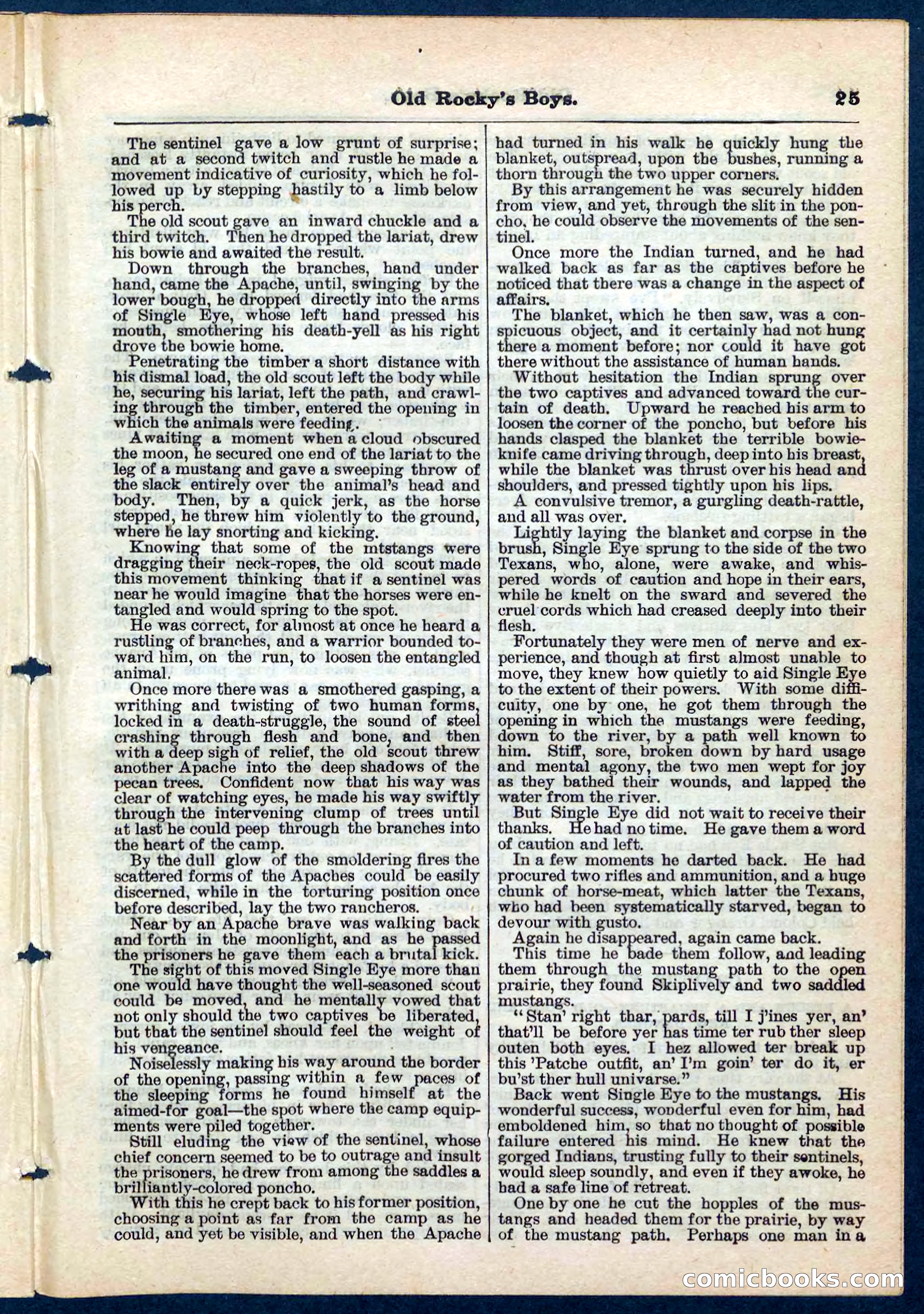 Beadle's Pocket Library No. 189 — page 25 of 32