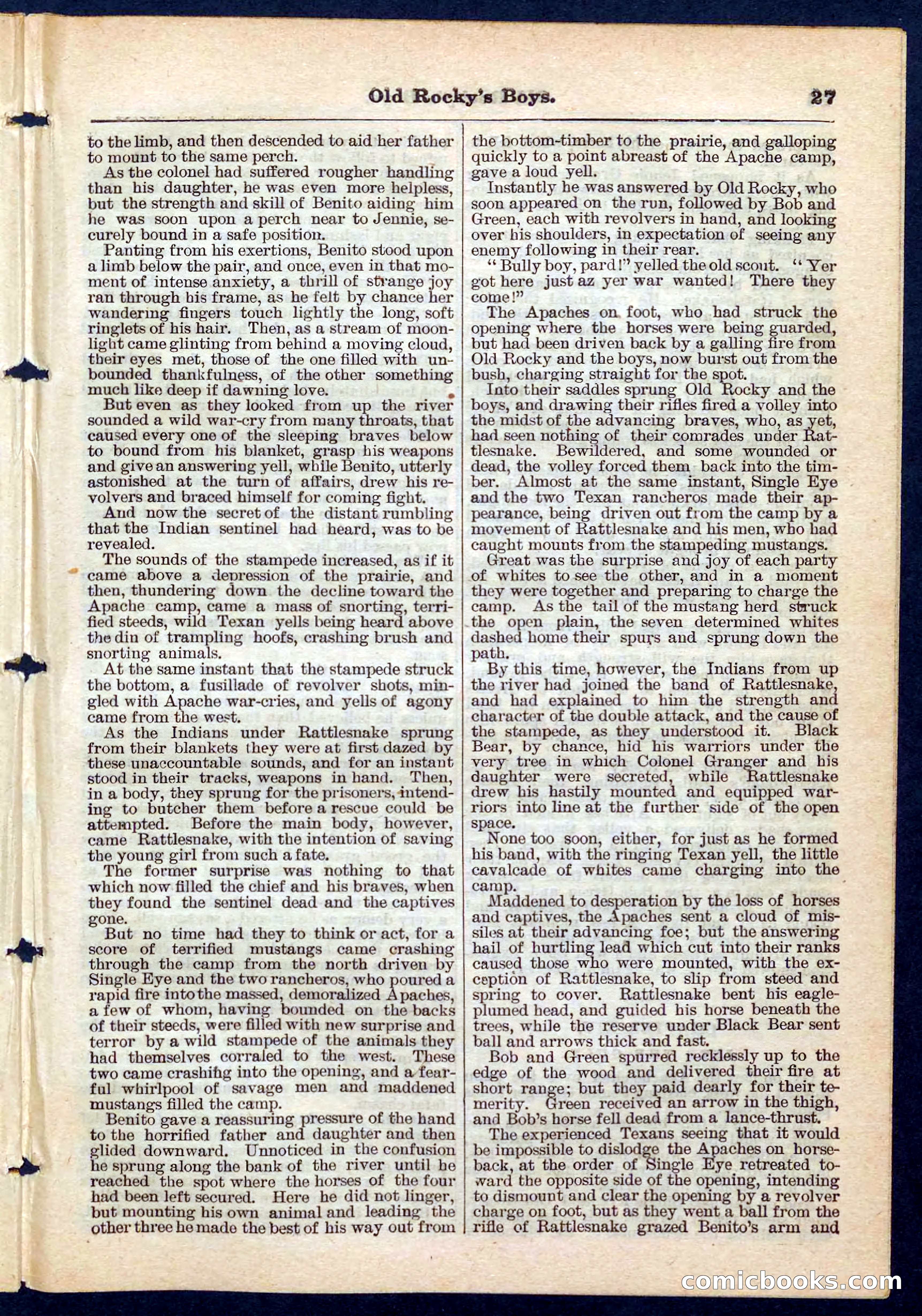 Beadle's Pocket Library No. 189 — page 27 of 32
