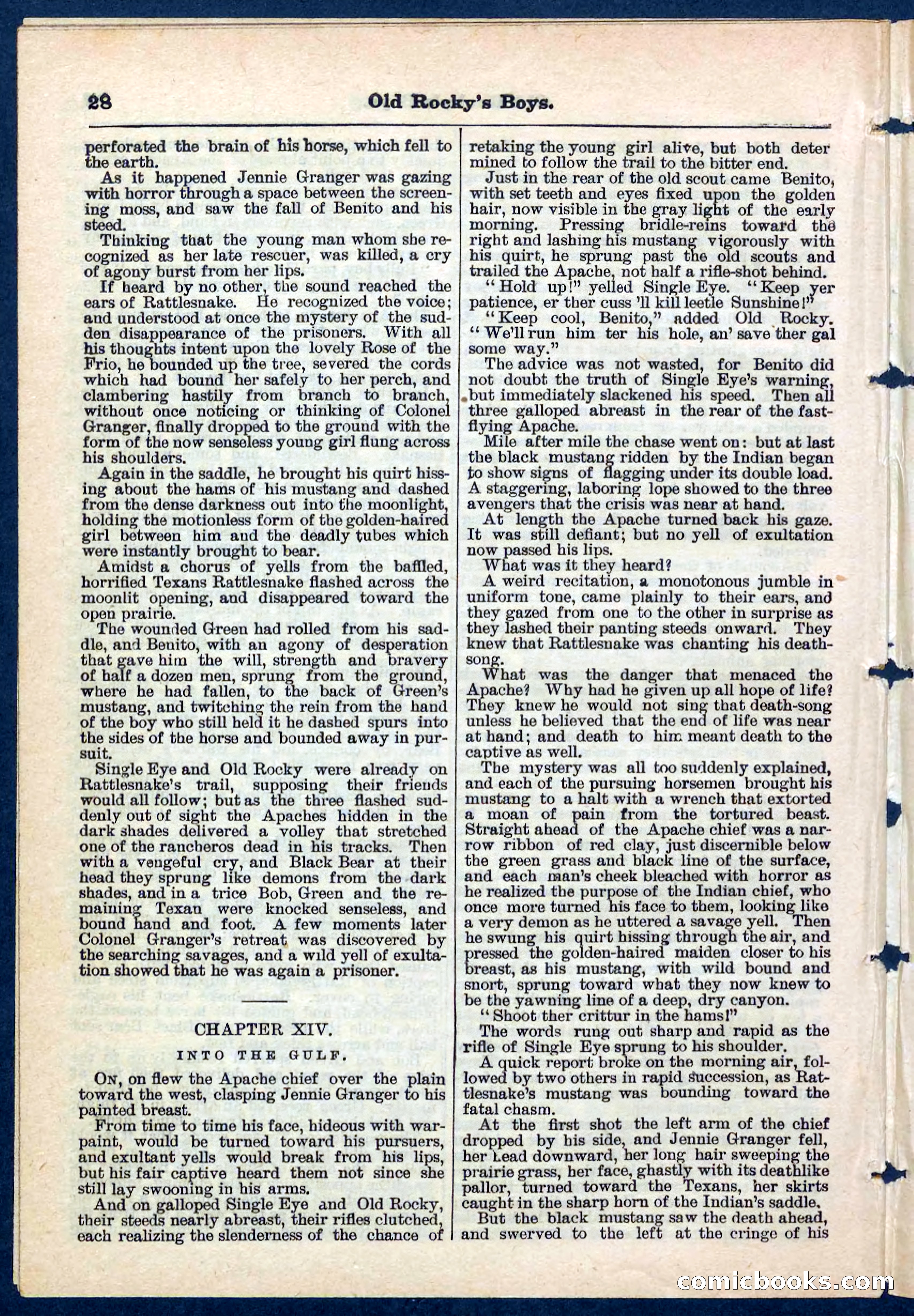 Beadle's Pocket Library No. 189 — page 28 of 32