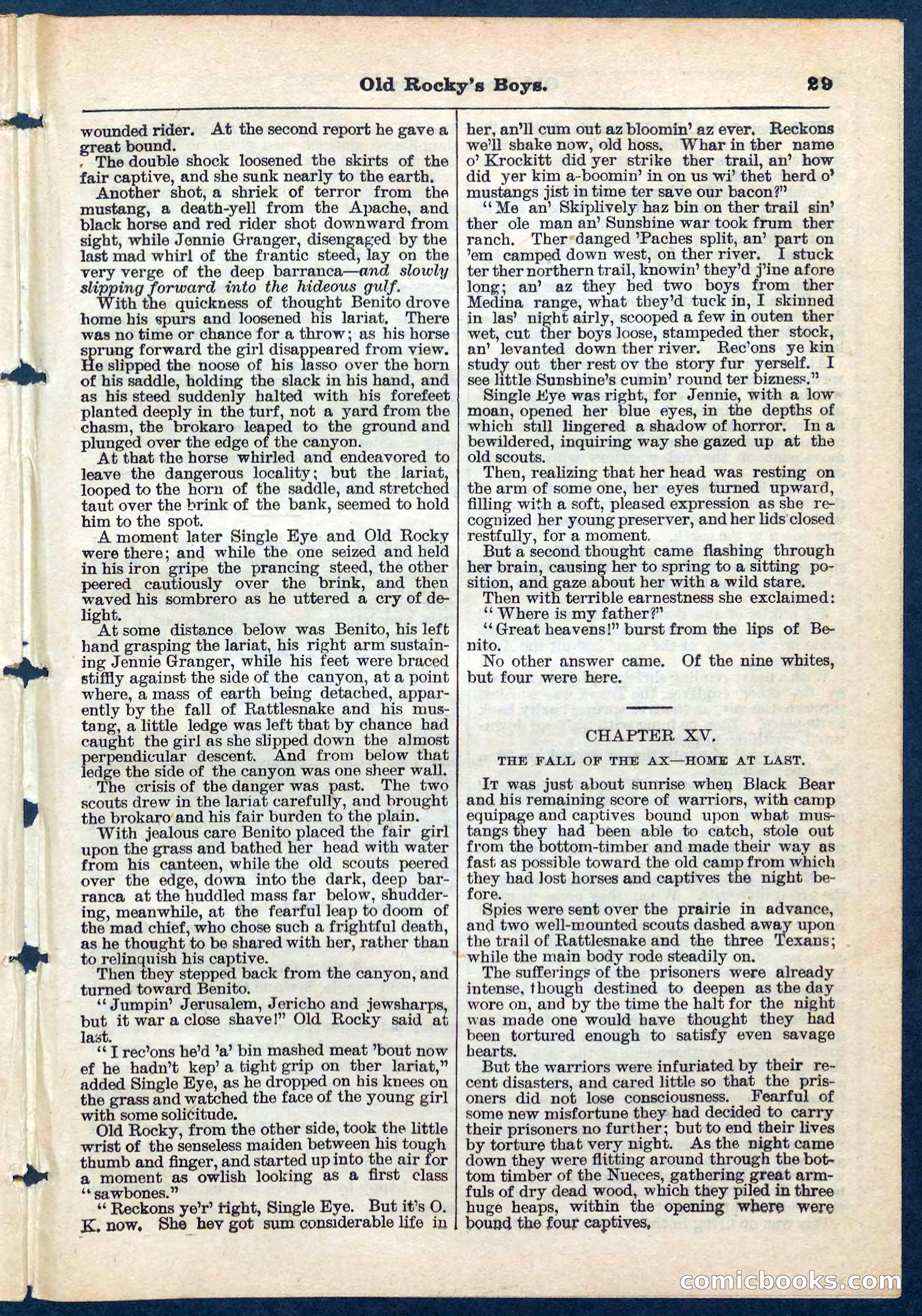 Beadle's Pocket Library No. 189 — page 29 of 32