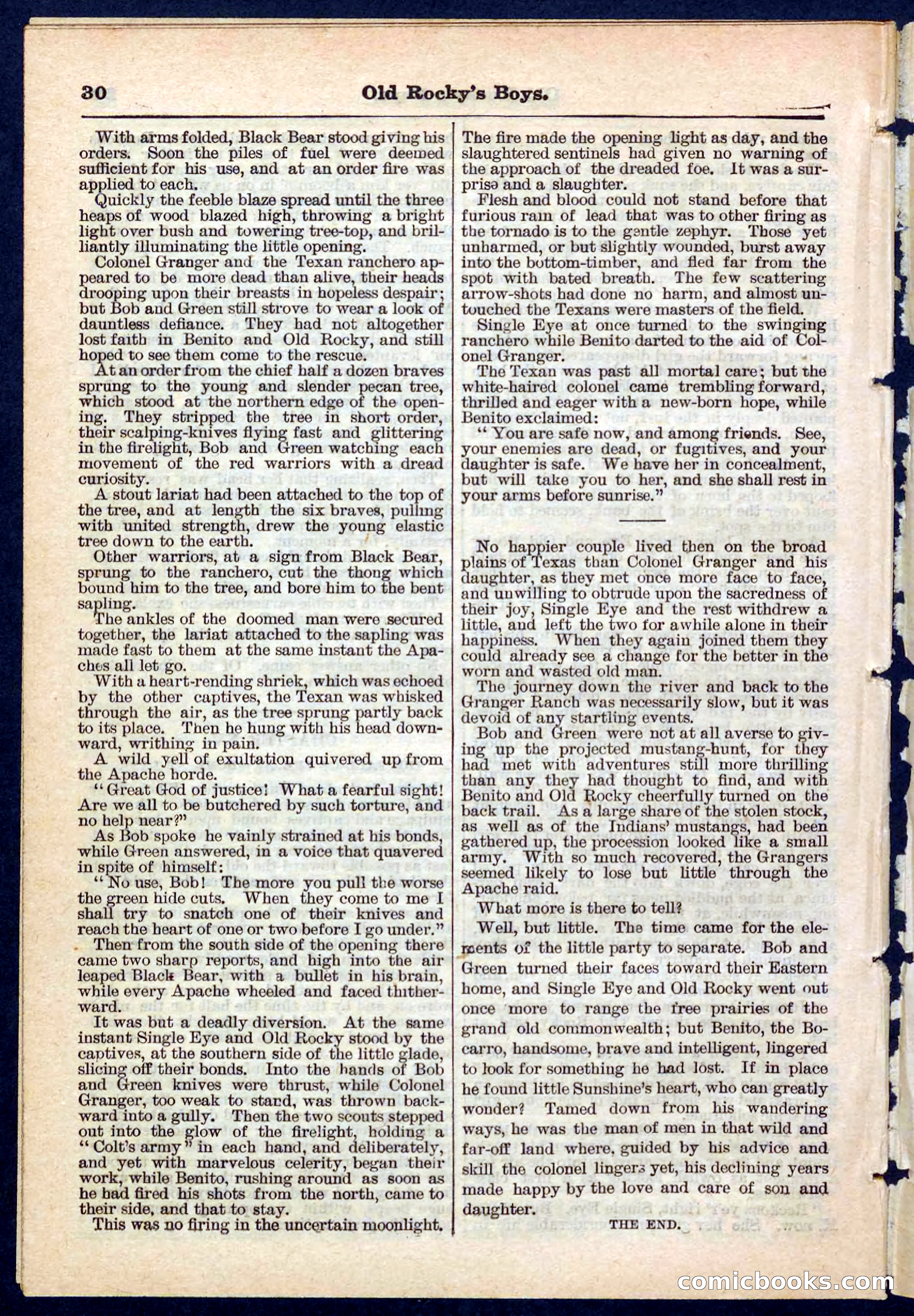 Beadle's Pocket Library No. 189 — page 30 of 32