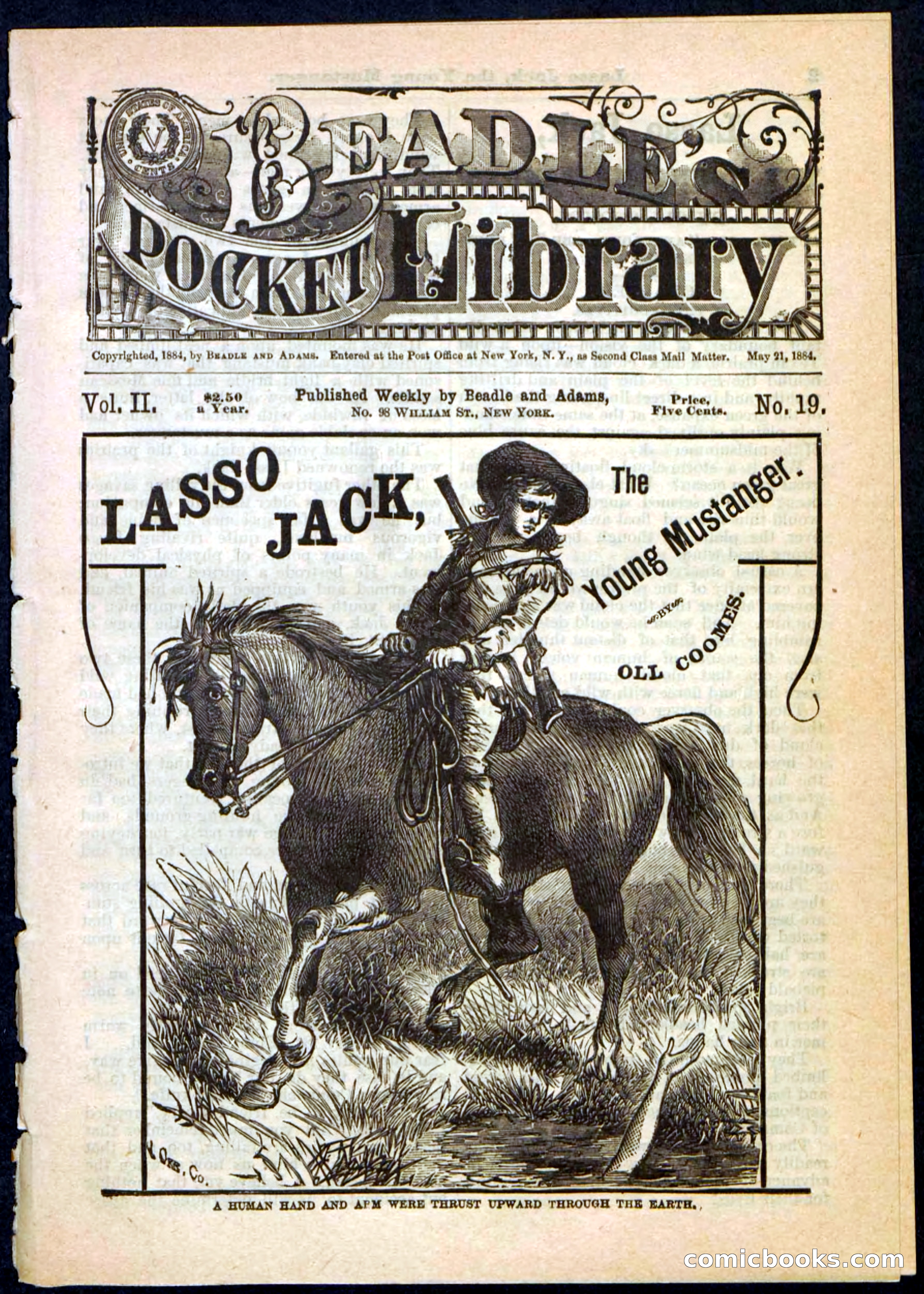 Beadle's Pocket Library No. 19