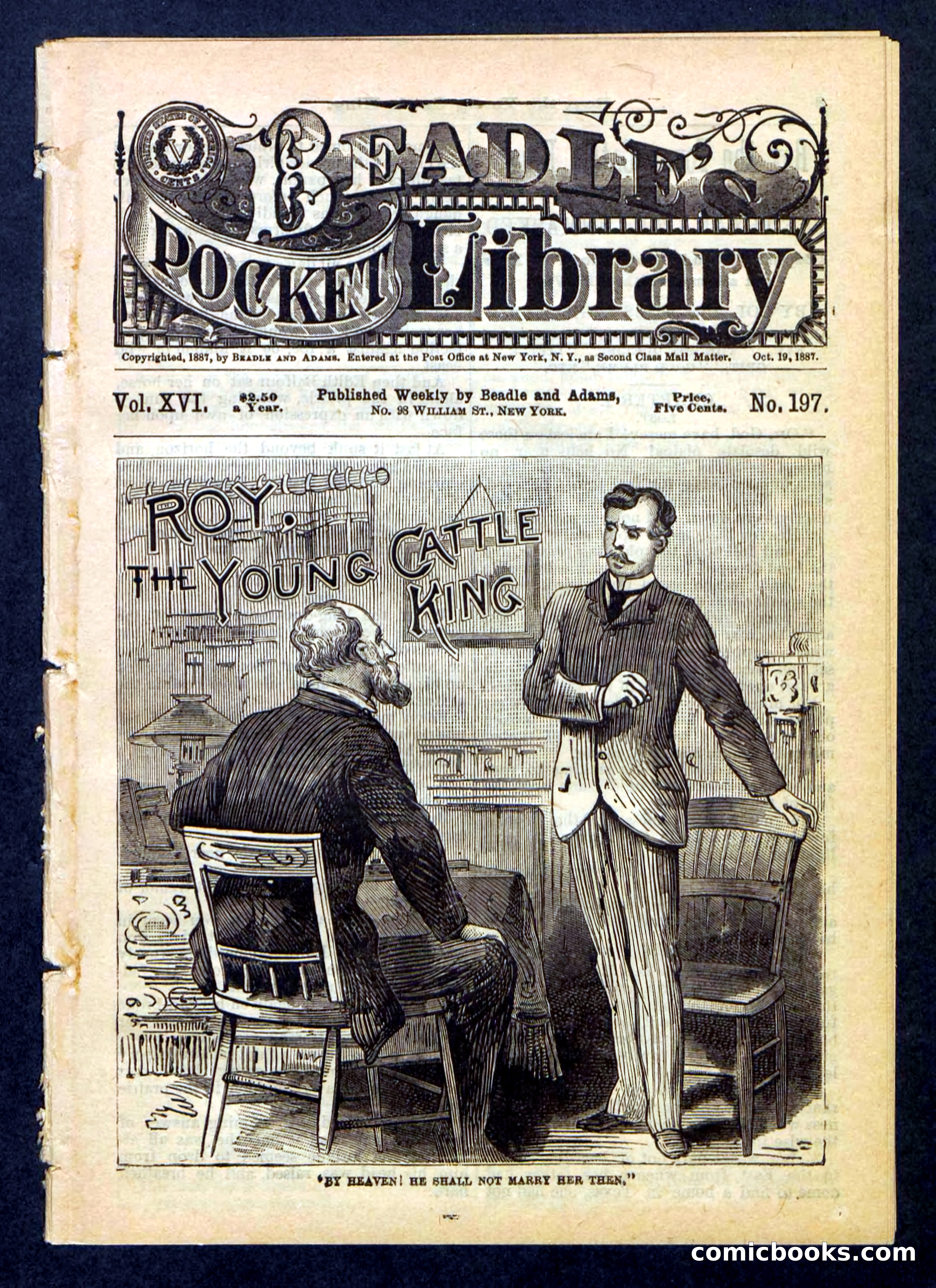 Beadle's Pocket Library, No. 197