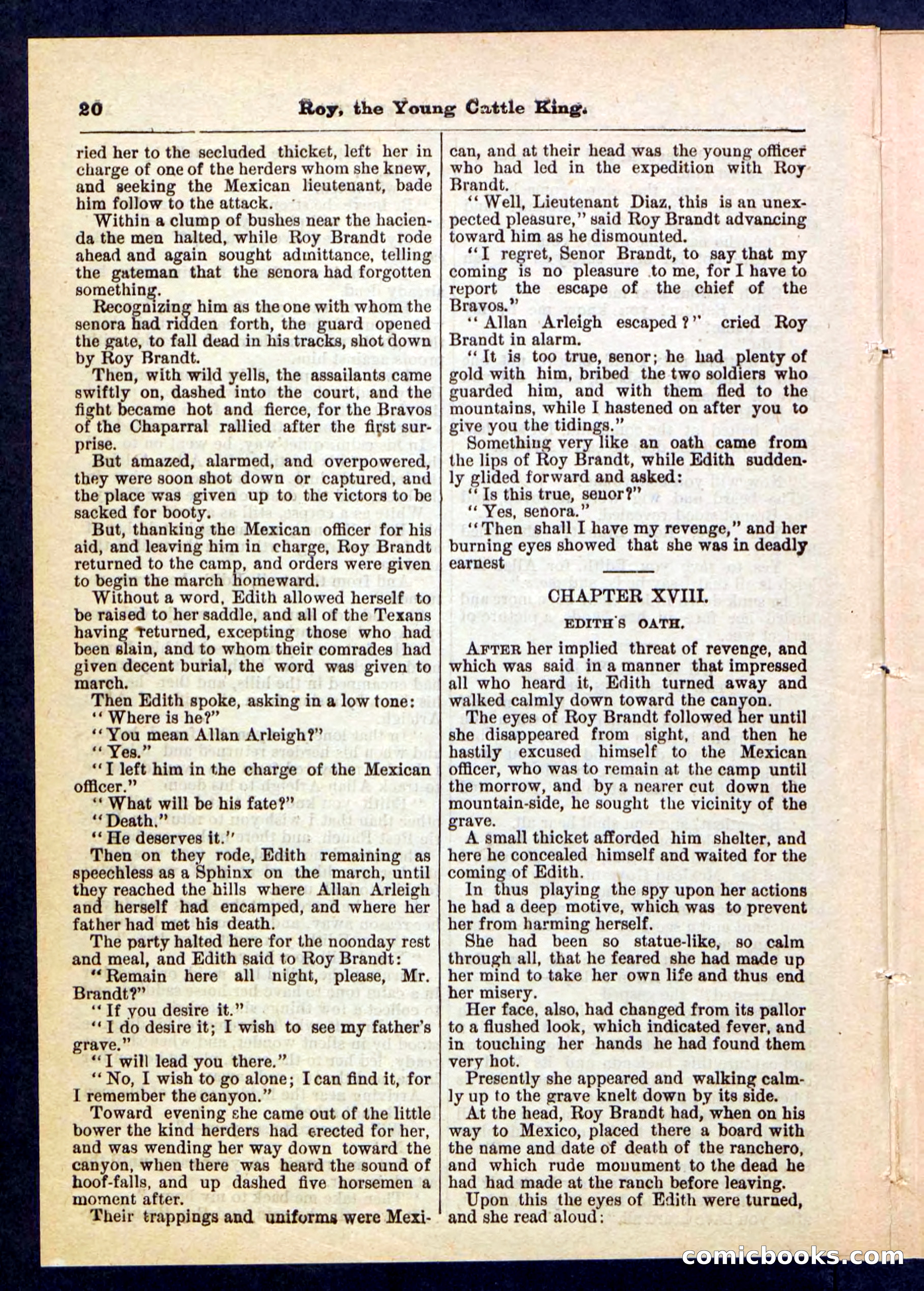 Beadle's Pocket Library, No. 197 — page 20 of 32