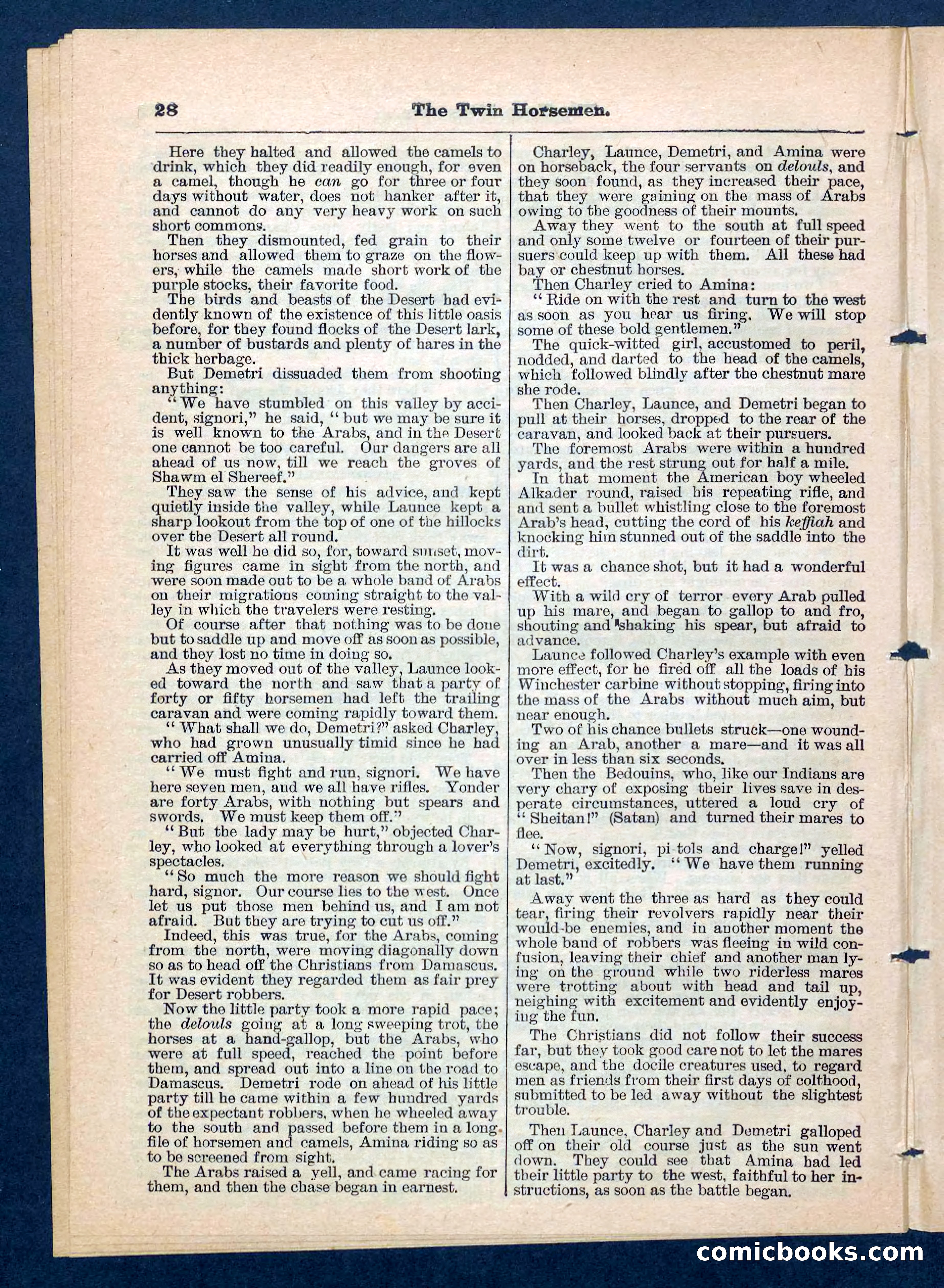 Beadle's Pocket Library, No. 200 — page 28 of 32
