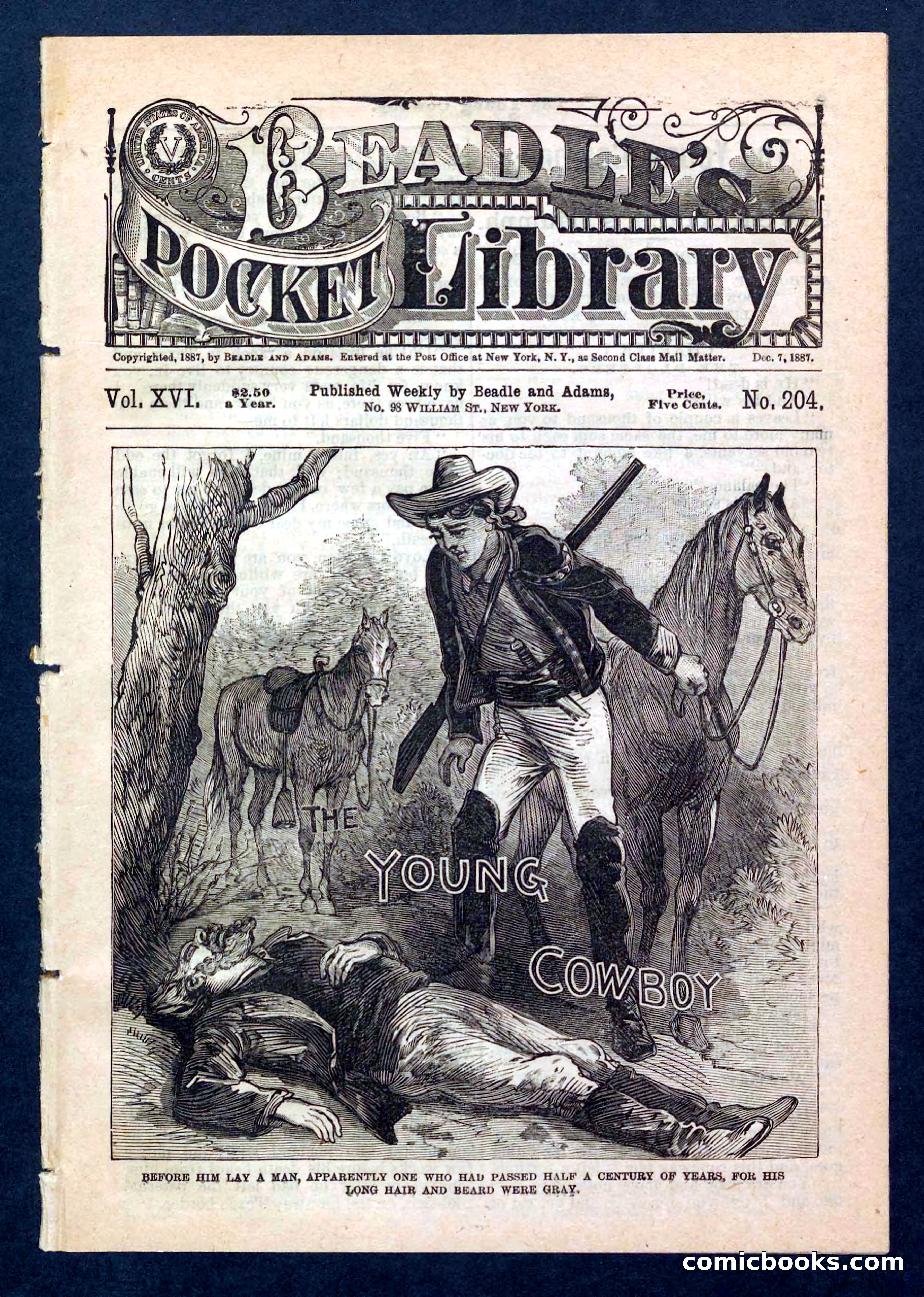 Beadle's Pocket Library, No. 204