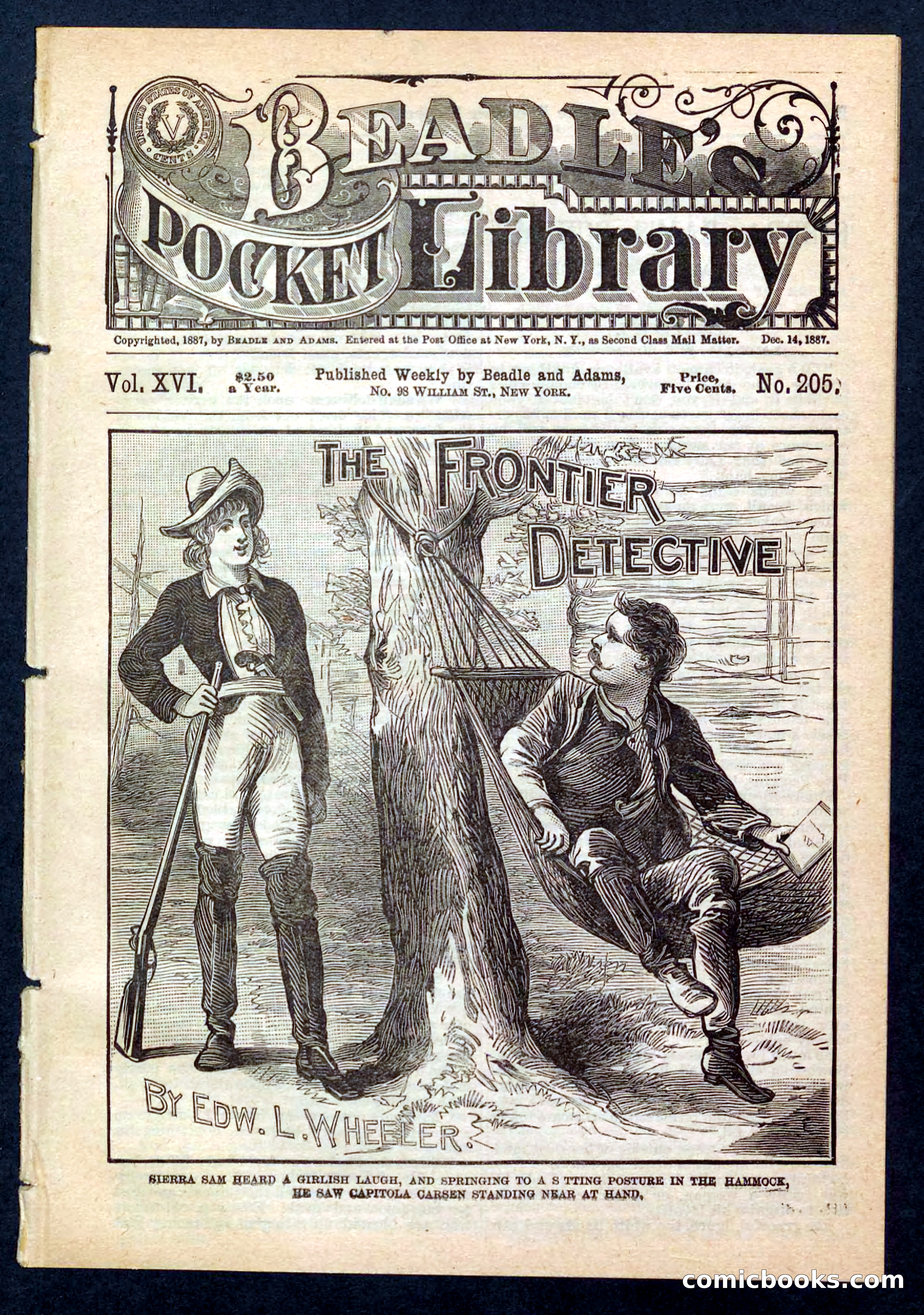 The Frontier Detective