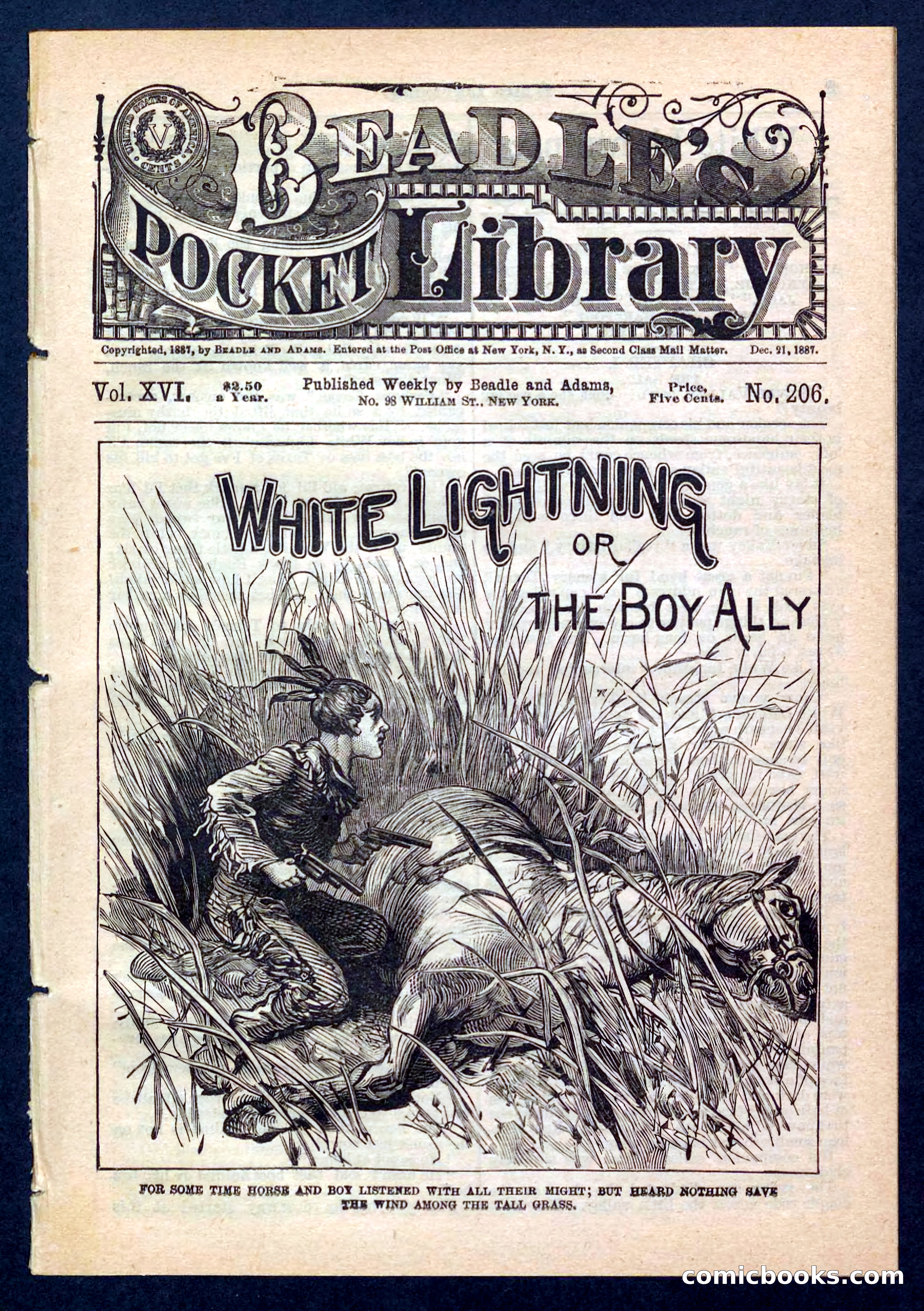 Beadle's Pocket Library No. 206
