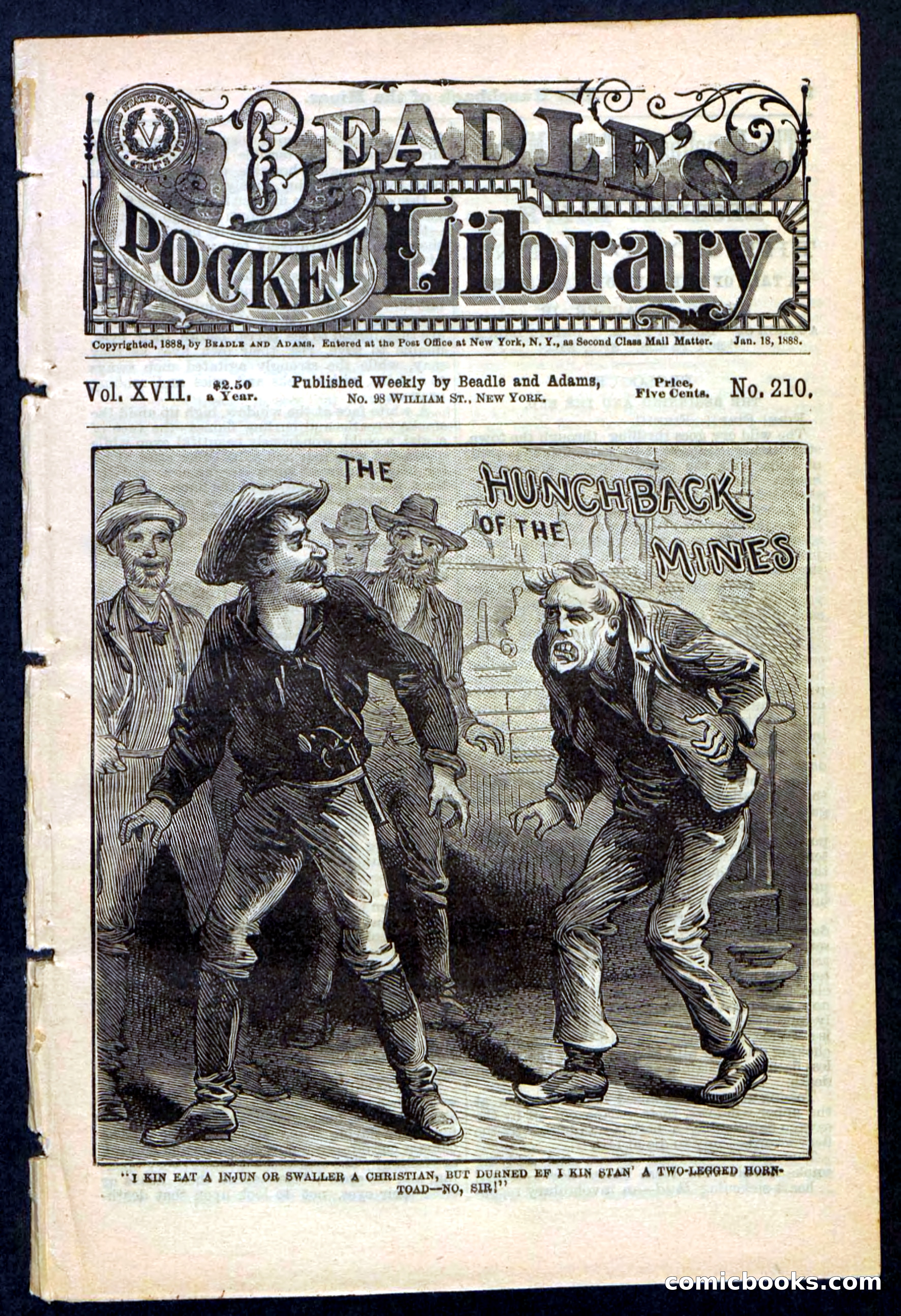 Beadle's Pocket Library No. 210